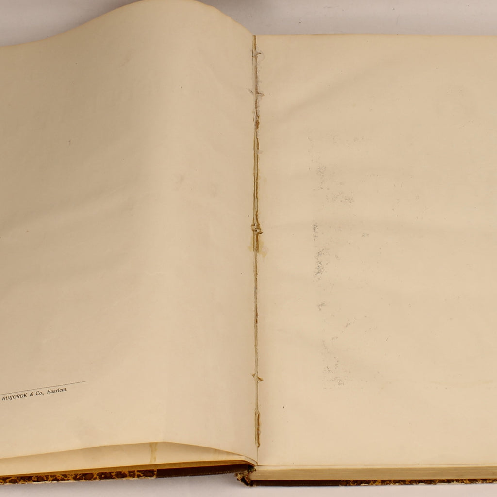 Édition Ancienne “Contes de Ma Mère l'Oye” – Gravures de Gustave Doré – D. Bolle Rotterdam – vers 1900 – In-folio de 33,5 cm