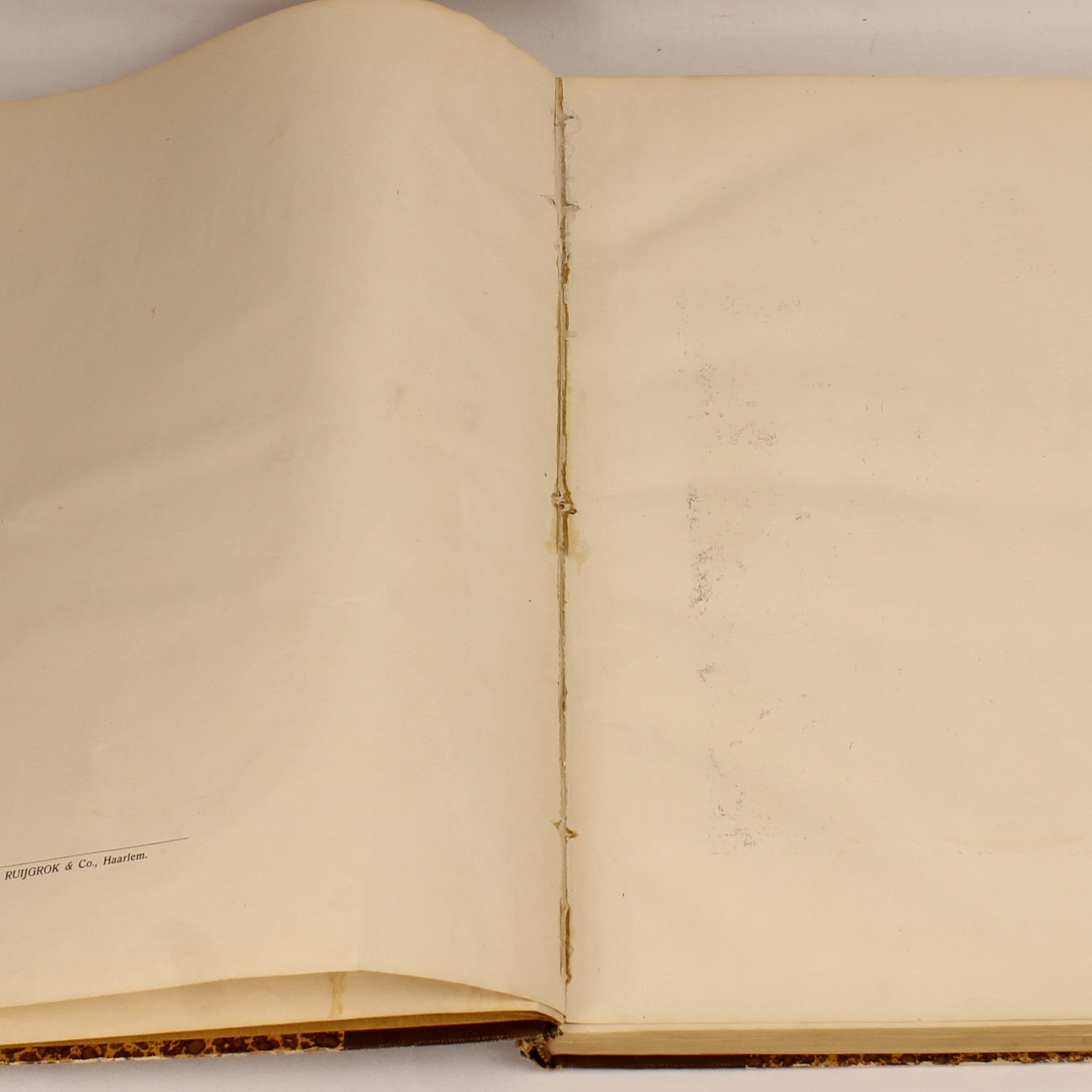 Édition Ancienne “Contes de Ma Mère l'Oye” – Gravures de Gustave Doré – D. Bolle Rotterdam – vers 1900 – In-folio de 33,5 cm