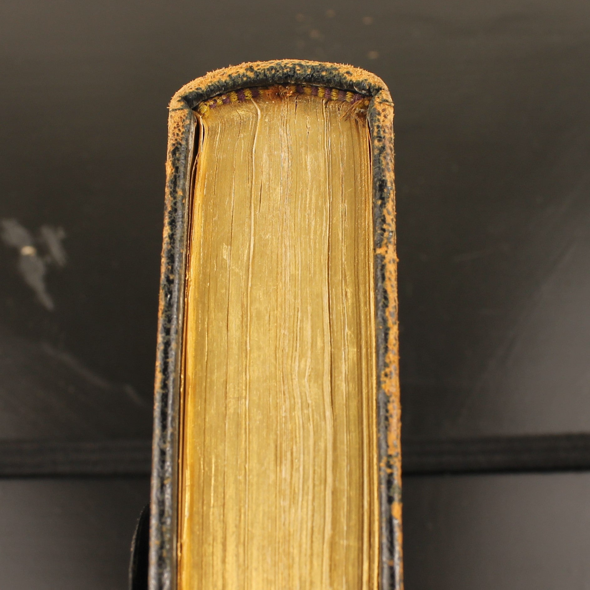 Nieuw Testament met Leren Band en Sluitflap – A. Jongbloed Leeuwarden (ca. 1860–1890)