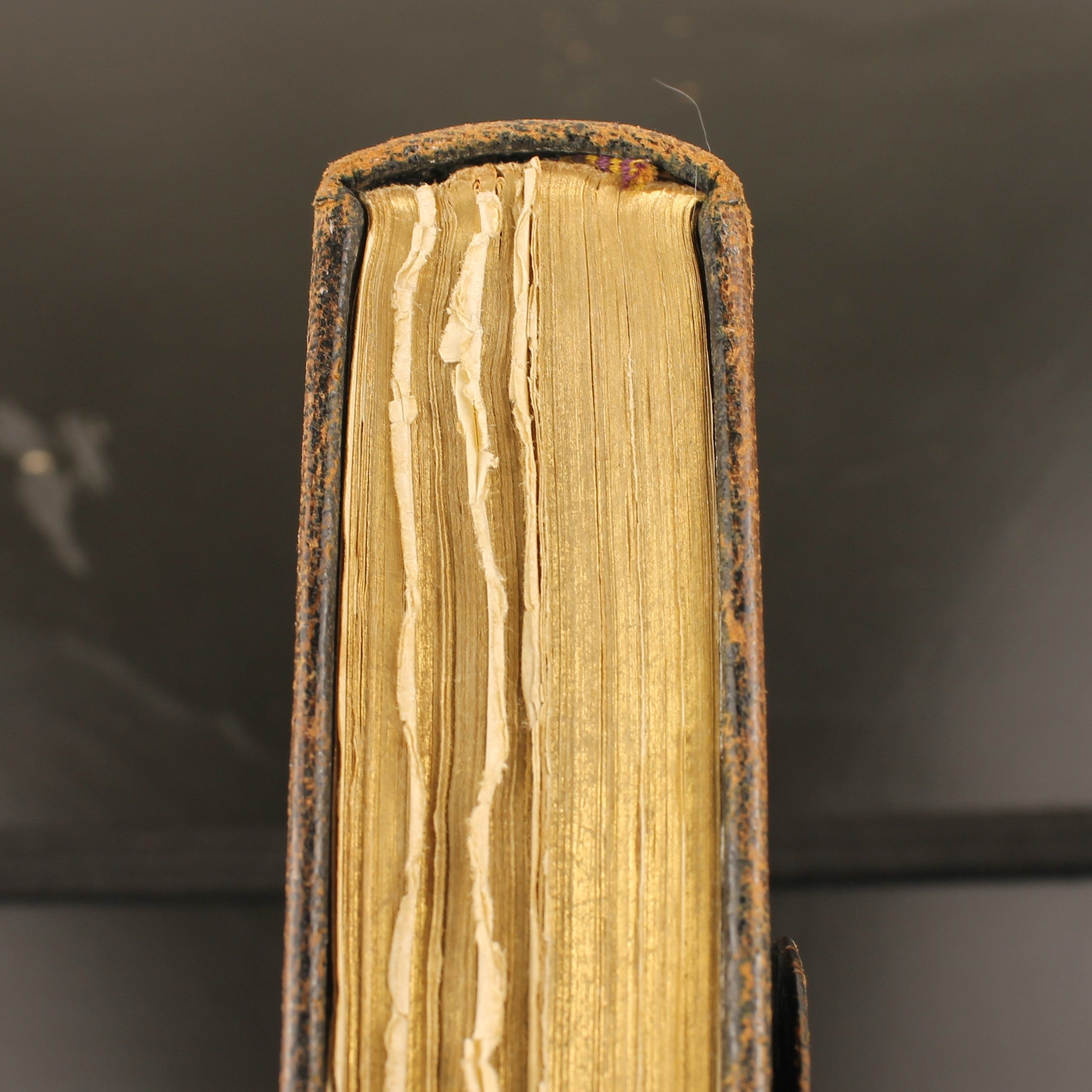 Nieuw Testament met Leren Band en Sluitflap – A. Jongbloed Leeuwarden (ca. 1860–1890)