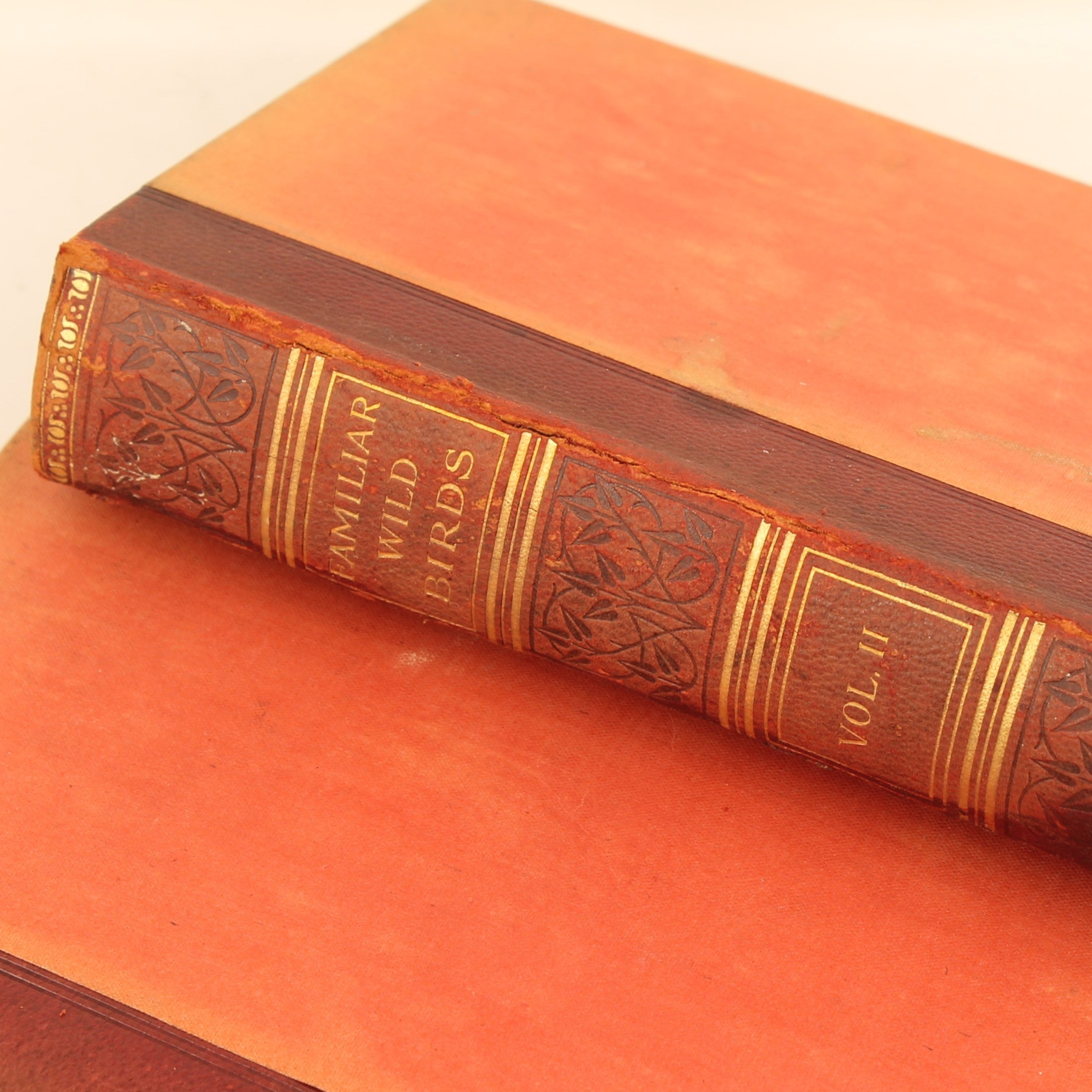 Familiar Wild Birds - W. Swaysland - Illustraties van Archibald Thorburn - Complete set [ca. 1880]