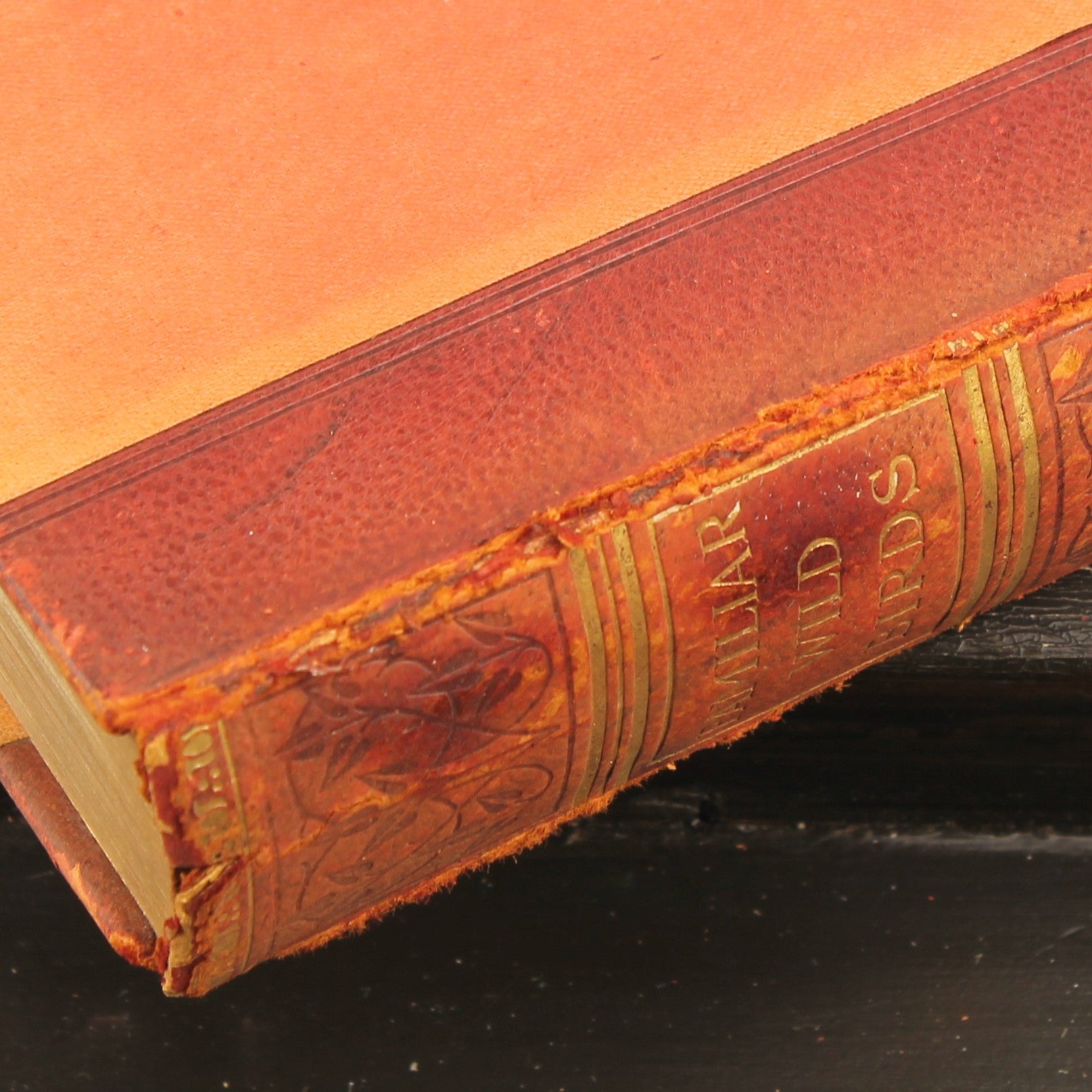 Familiar Wild Birds - W. Swaysland - Illustraties van Archibald Thorburn - Complete set [ca. 1880]