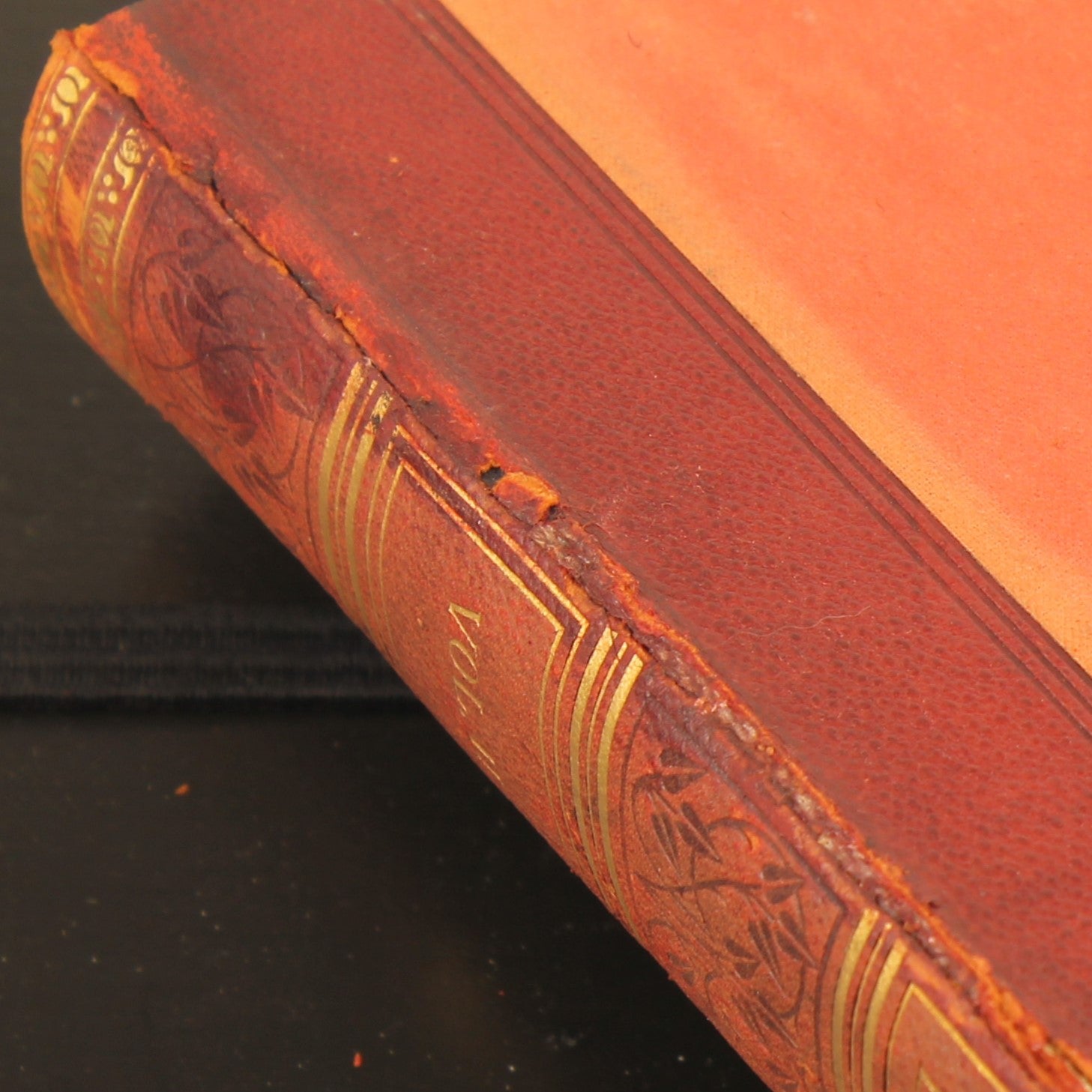 Familiar Wild Birds - W. Swaysland - Illustraties van Archibald Thorburn - Complete set [ca. 1880]