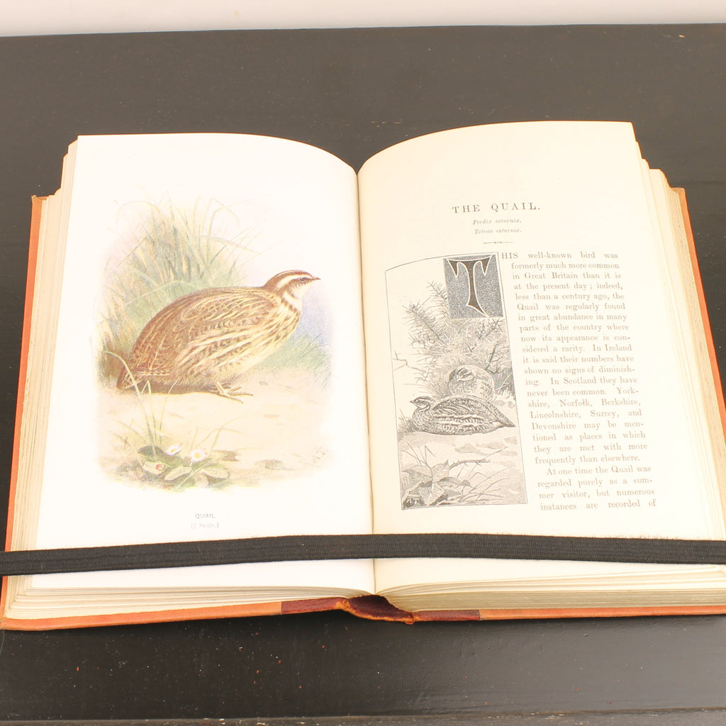 Familiar Wild Birds - W. Swaysland - Illustraties van Archibald Thorburn - Complete set [ca. 1880]