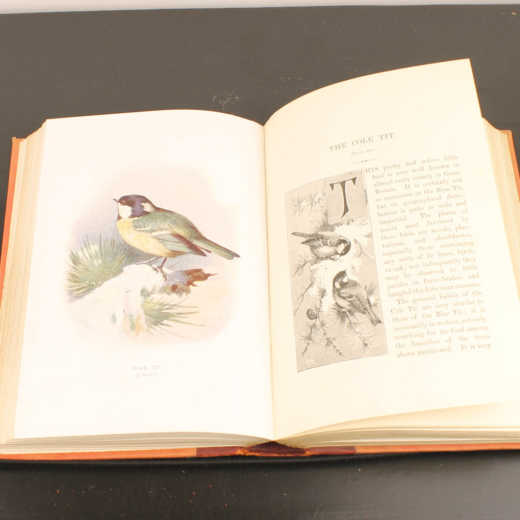 Familiar Wild Birds - W. Swaysland - Illustraties van Archibald Thorburn - Complete set [ca. 1880]