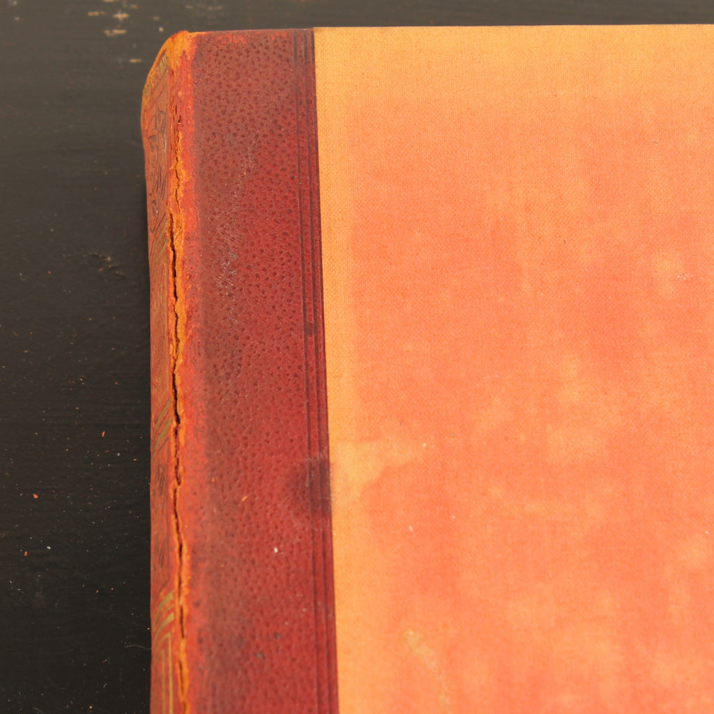 Familiar Wild Birds - W. Swaysland - Illustraties van Archibald Thorburn - Complete set [ca. 1880]