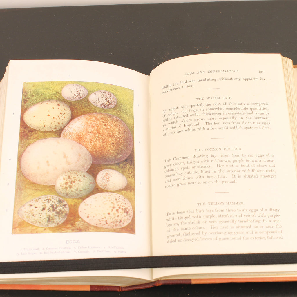 Familiar Wild Birds - W. Swaysland - Illustraties van Archibald Thorburn - Complete set [ca. 1880]