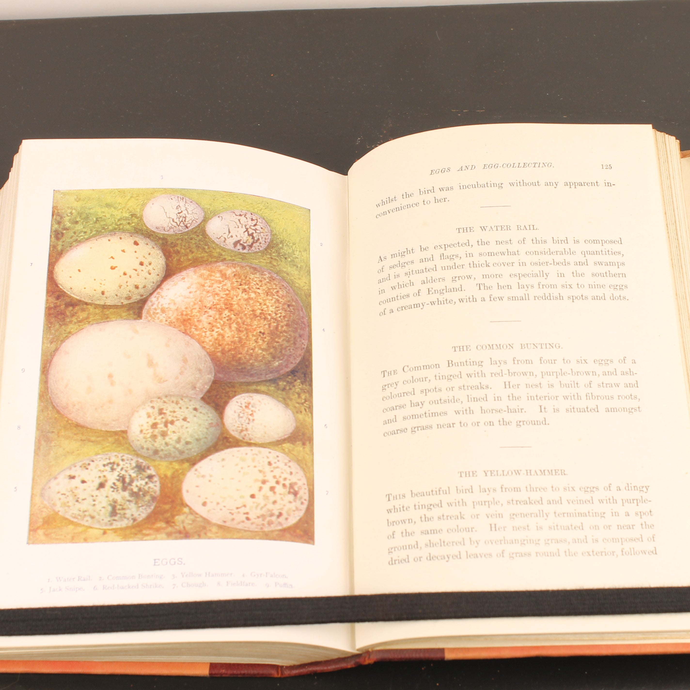 Familiar Wild Birds - W. Swaysland - Illustraties van Archibald Thorburn - Complete set [ca. 1880]