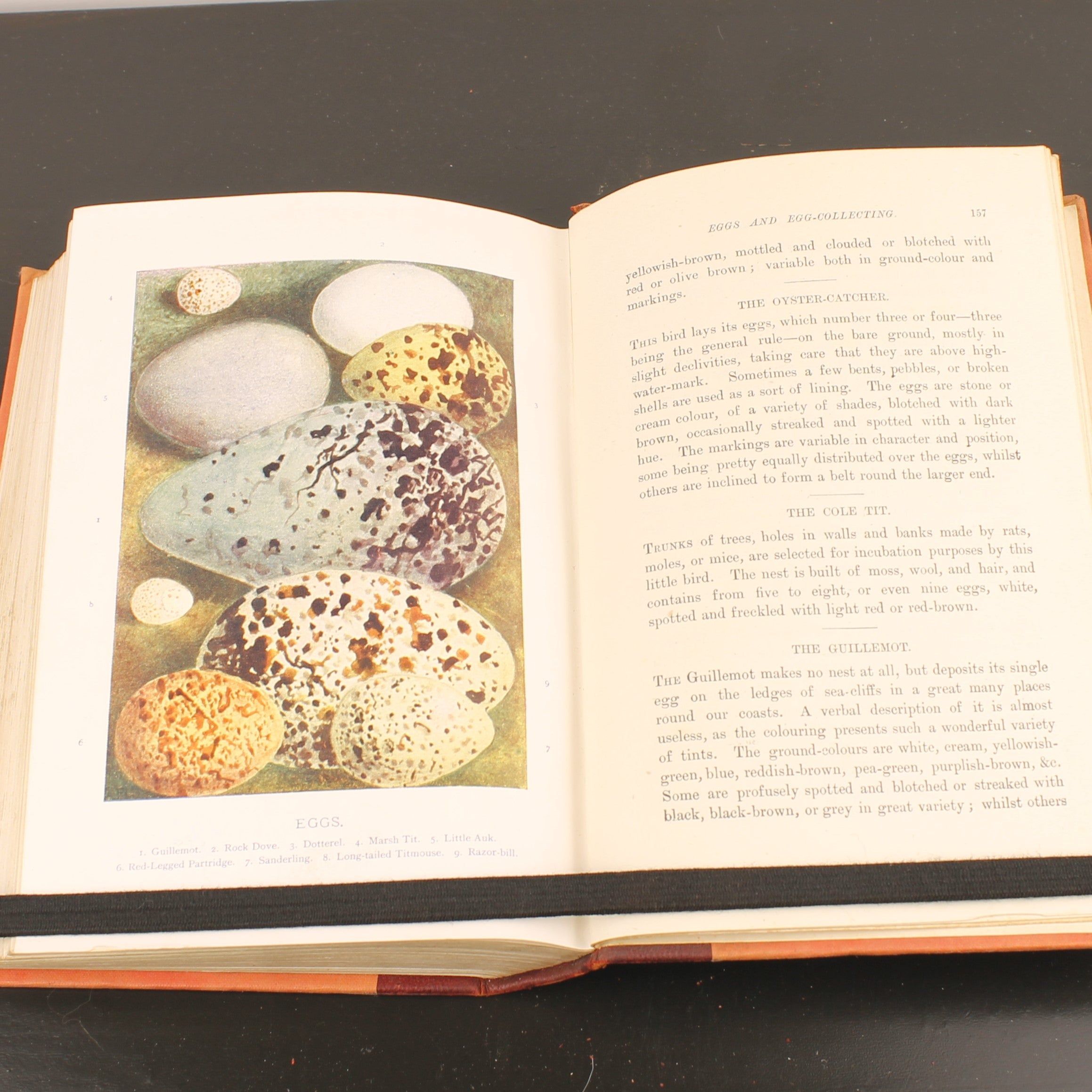 Familiar Wild Birds - W. Swaysland - Illustraties van Archibald Thorburn - Complete set [ca. 1880]