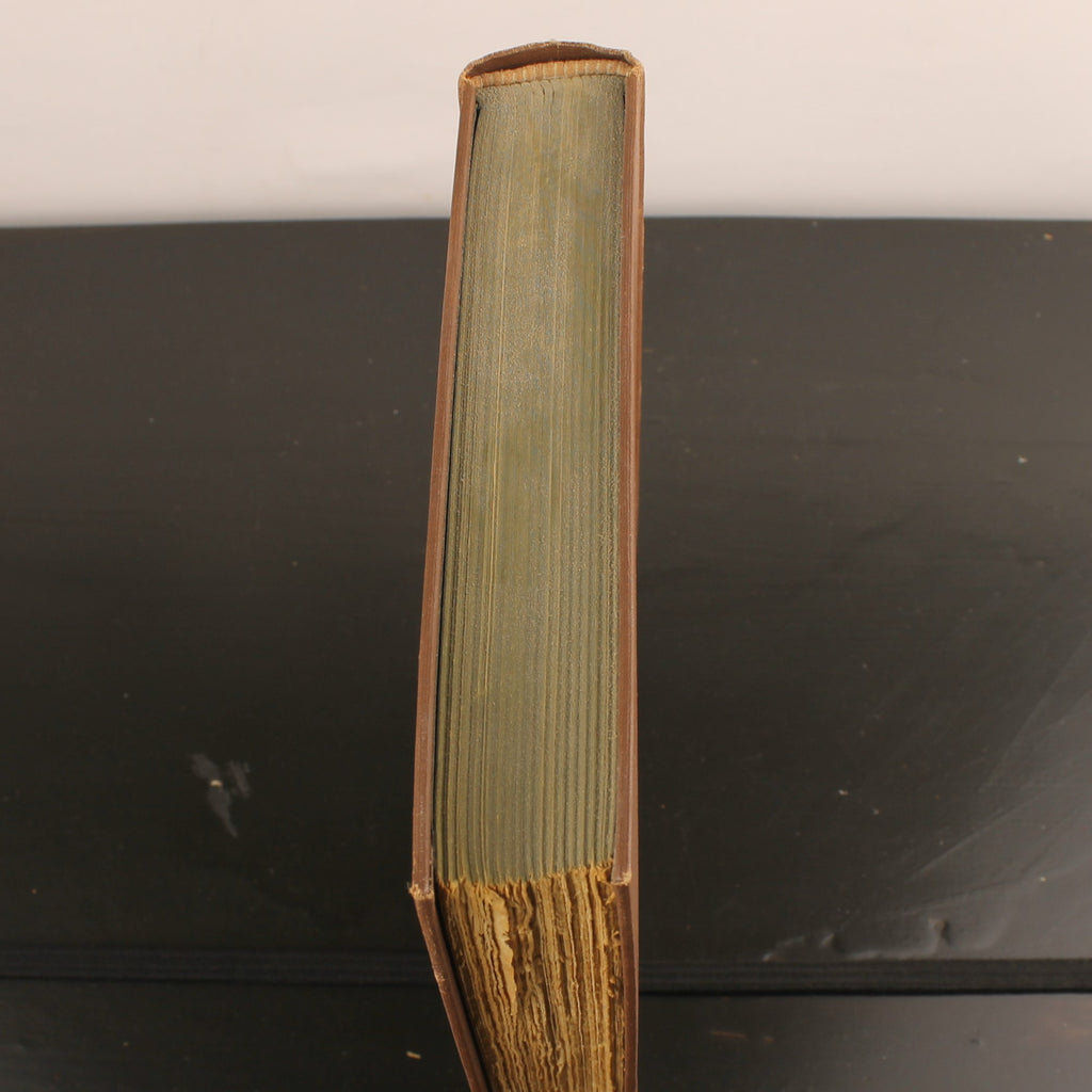 Vuurvlindertje - Herman Heijermans - Geïllustreerd Boek - Van Holkema & Warendorf Amsterdam