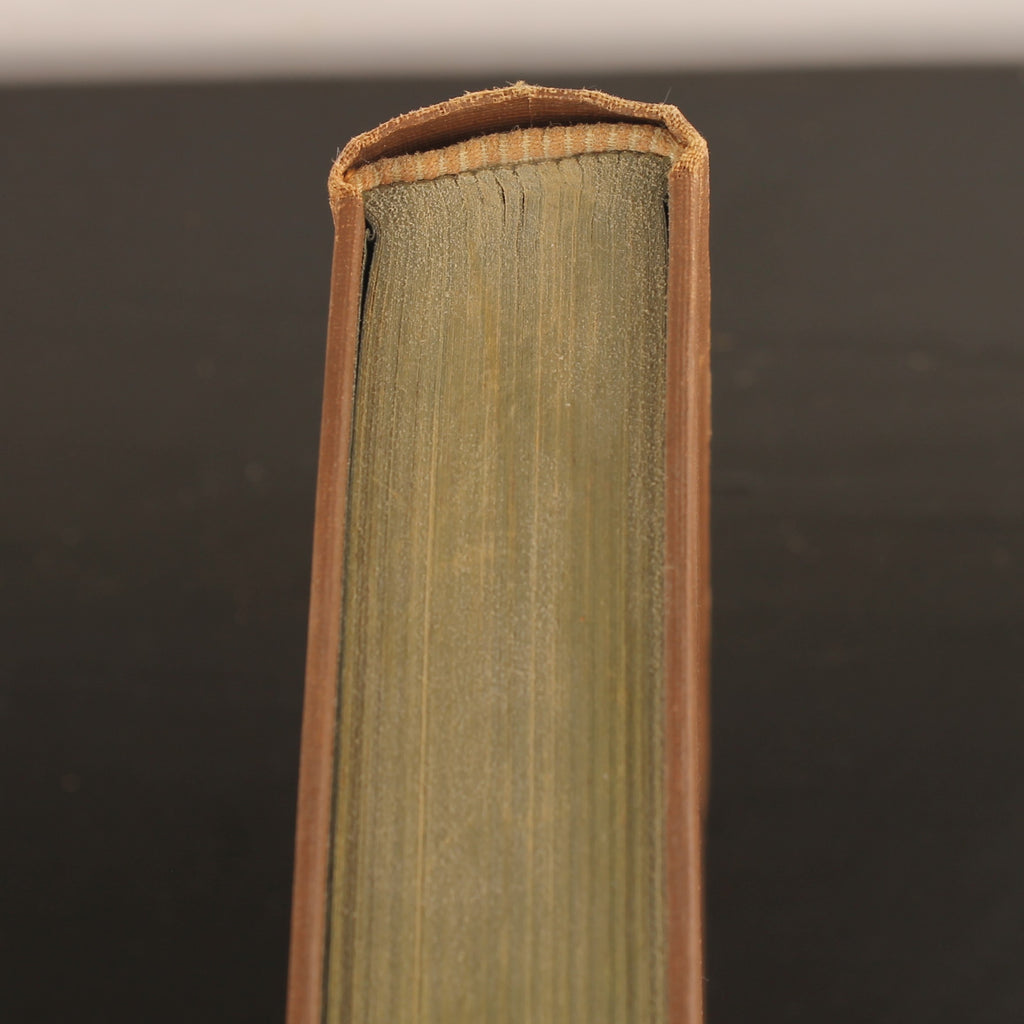 Vuurvlindertje - Herman Heijermans - Geïllustreerd Boek - Van Holkema & Warendorf Amsterdam