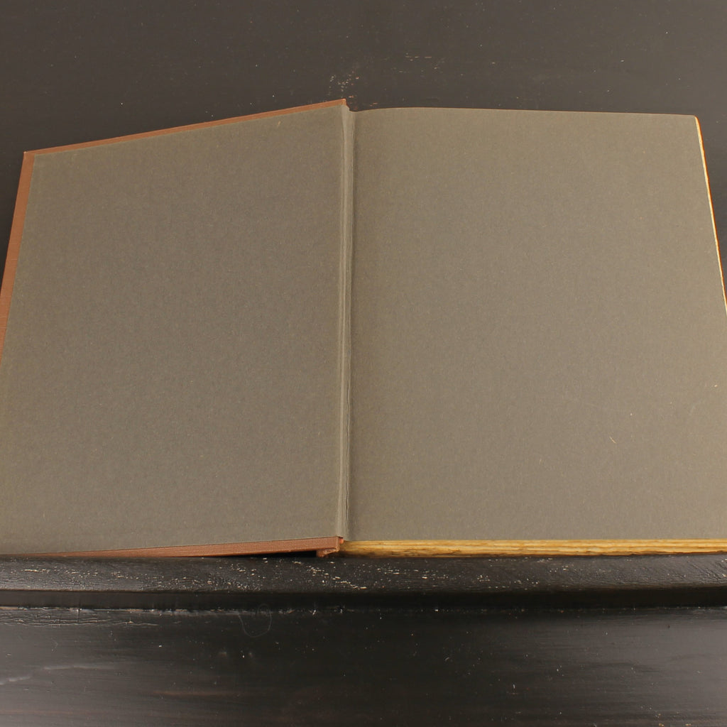 Vuurvlindertje - Herman Heijermans - Geïllustreerd Boek - Van Holkema & Warendorf Amsterdam