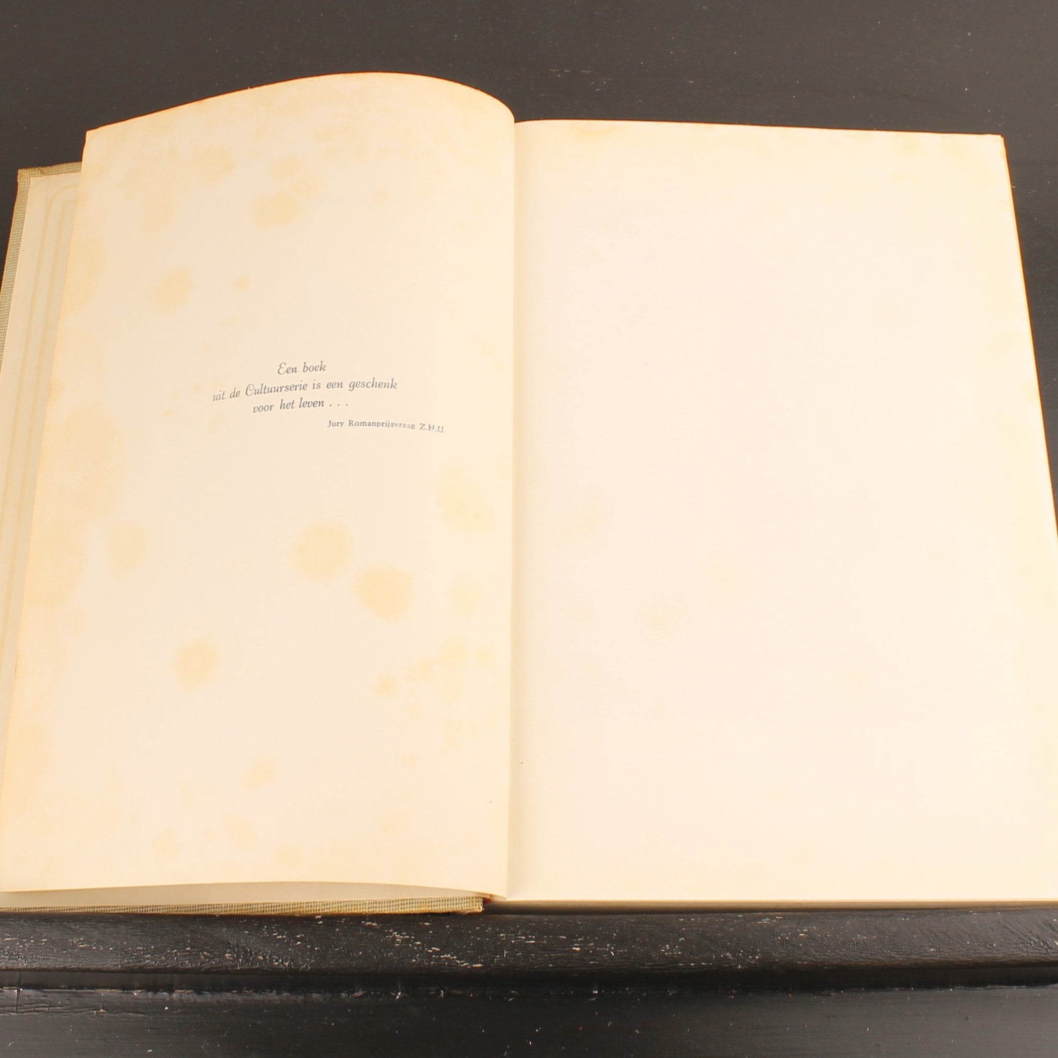 En de Zon Ging Onder (2 Delen) - Marguerite Steen - Boekenset met Illustraties van Anton Pieck - ca. 1930 Den Haag