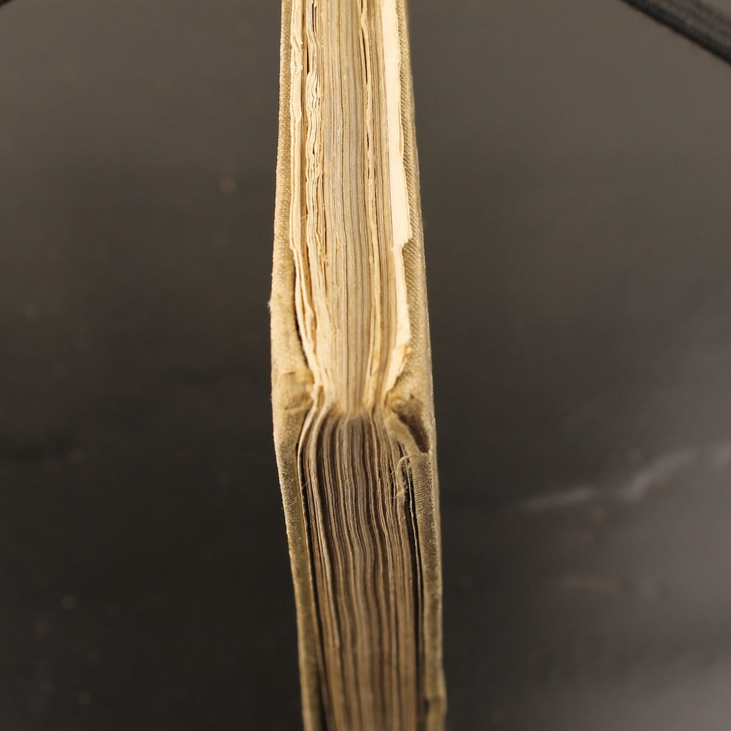 Andersen’s Sprookjes - J.J.A. Goeverneur - Sijthoff Leiden - Antiek Geïllustreerd Boek