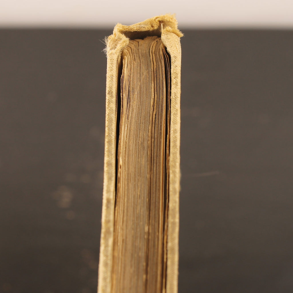 Andersen’s Sprookjes - J.J.A. Goeverneur - Sijthoff Leiden - Antiek Geïllustreerd Boek