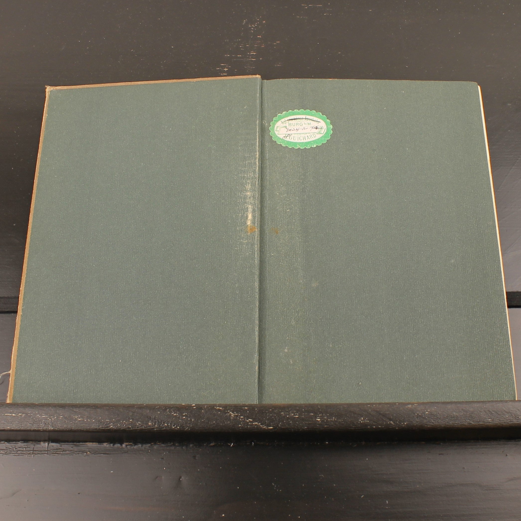 Plisch und Plum - Wilhelm Busch - Antiek Geïllustreerd Kinderboek - München 1907