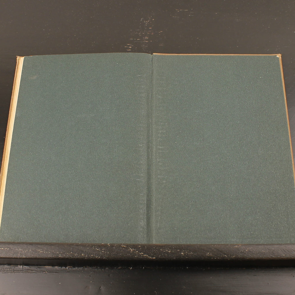 Plisch und Plum - Wilhelm Busch - Antiek Geïllustreerd Kinderboek - München 1907