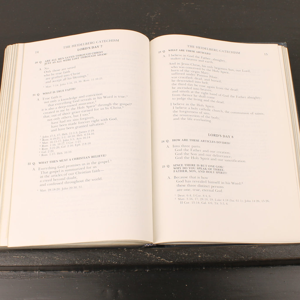 Psalter Hymnal 1976 (1984 Druk) - Christian Reformed Church - Hardcover - Grand Rapids, Michigan