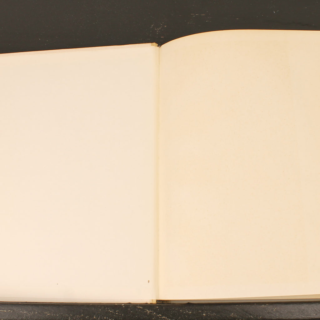 Uit Neerlands Vogelleven (1941) - Nol Binsbergen - Voorwoord Jac. P. Thijsse - Uitgeverij Boot Den Haag