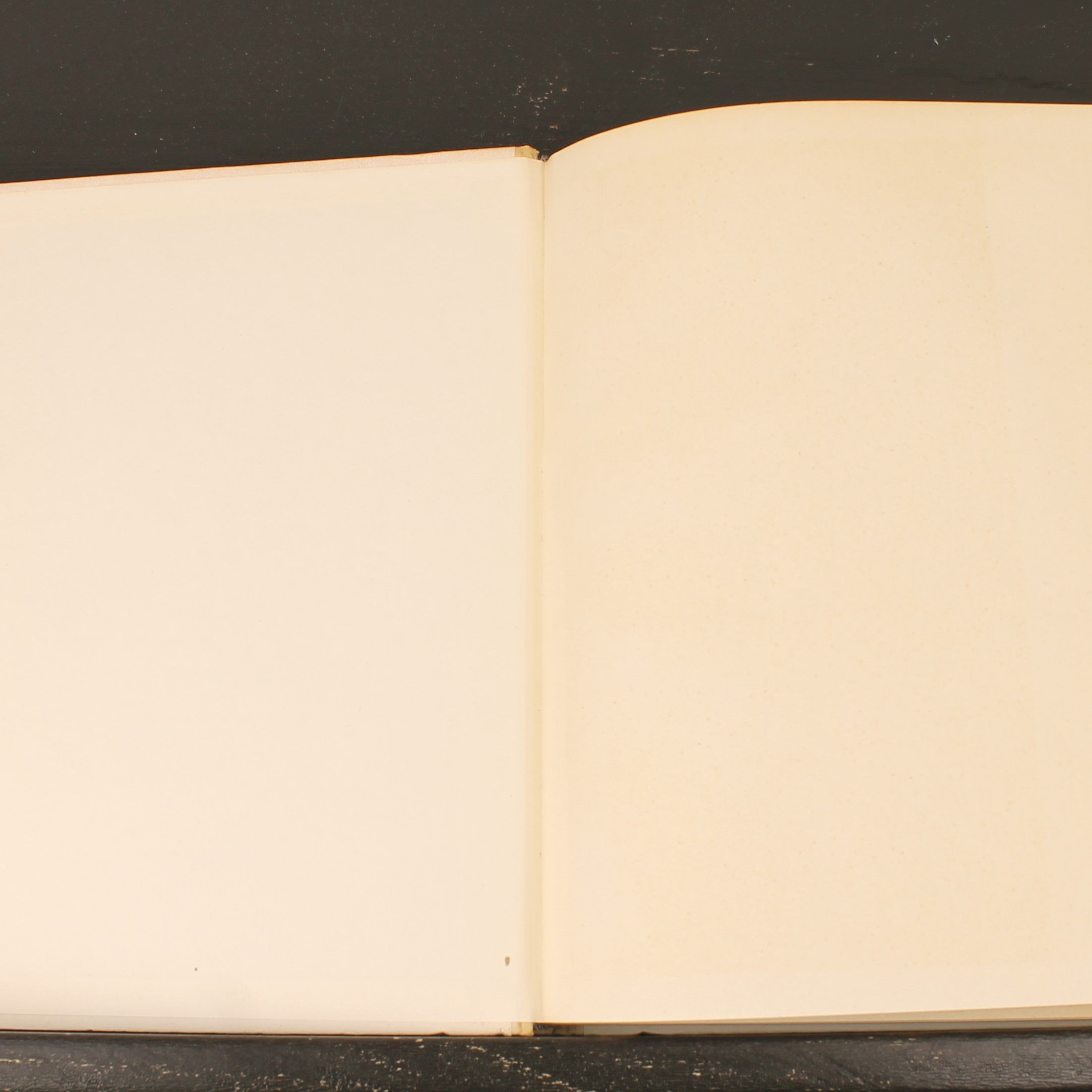 Uit Neerlands Vogelleven (1941) - Nol Binsbergen - Voorwoord Jac. P. Thijsse - Uitgeverij Boot Den Haag