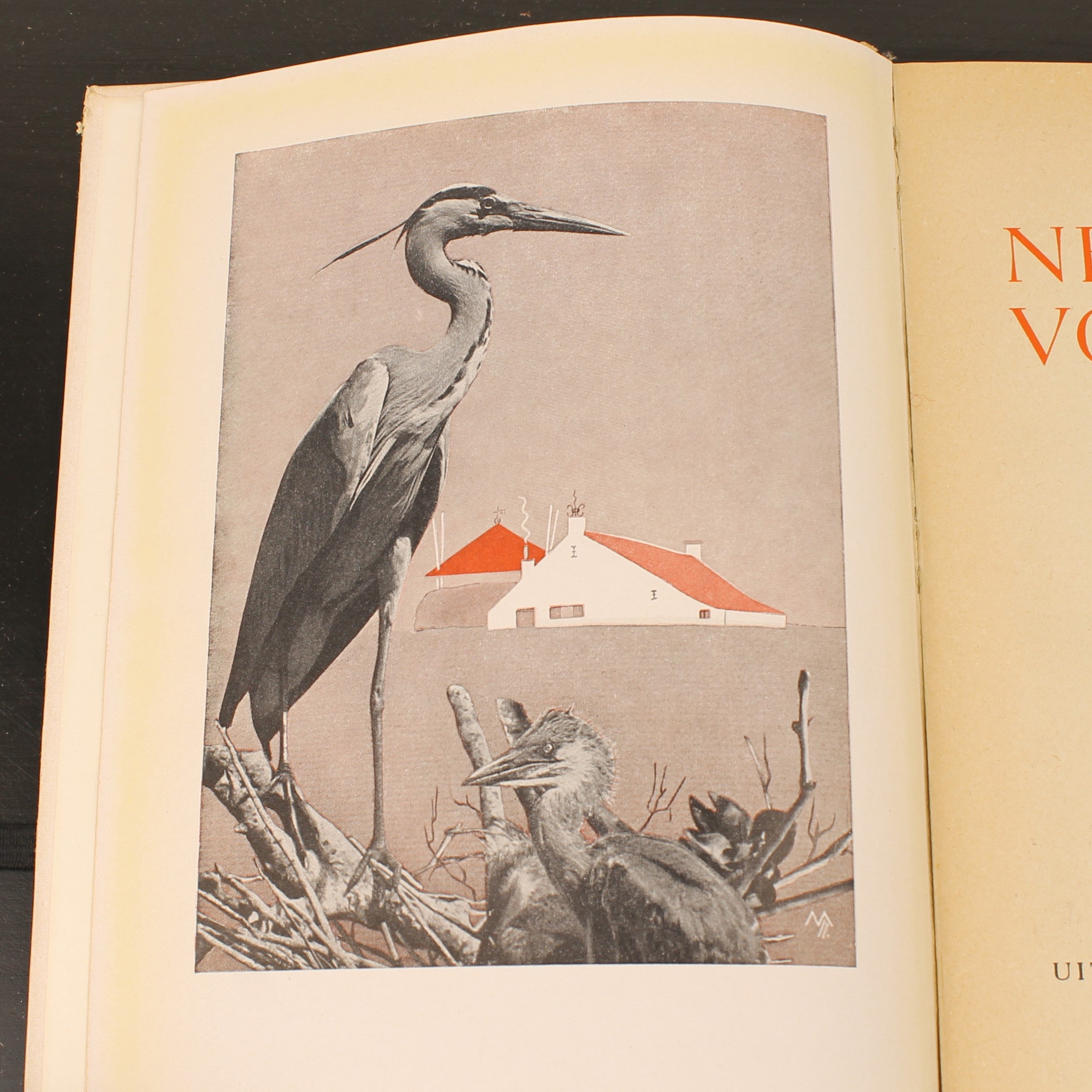 Uit Neerlands Vogelleven (1941) - Nol Binsbergen - Voorwoord Jac. P. Thijsse - Uitgeverij Boot Den Haag