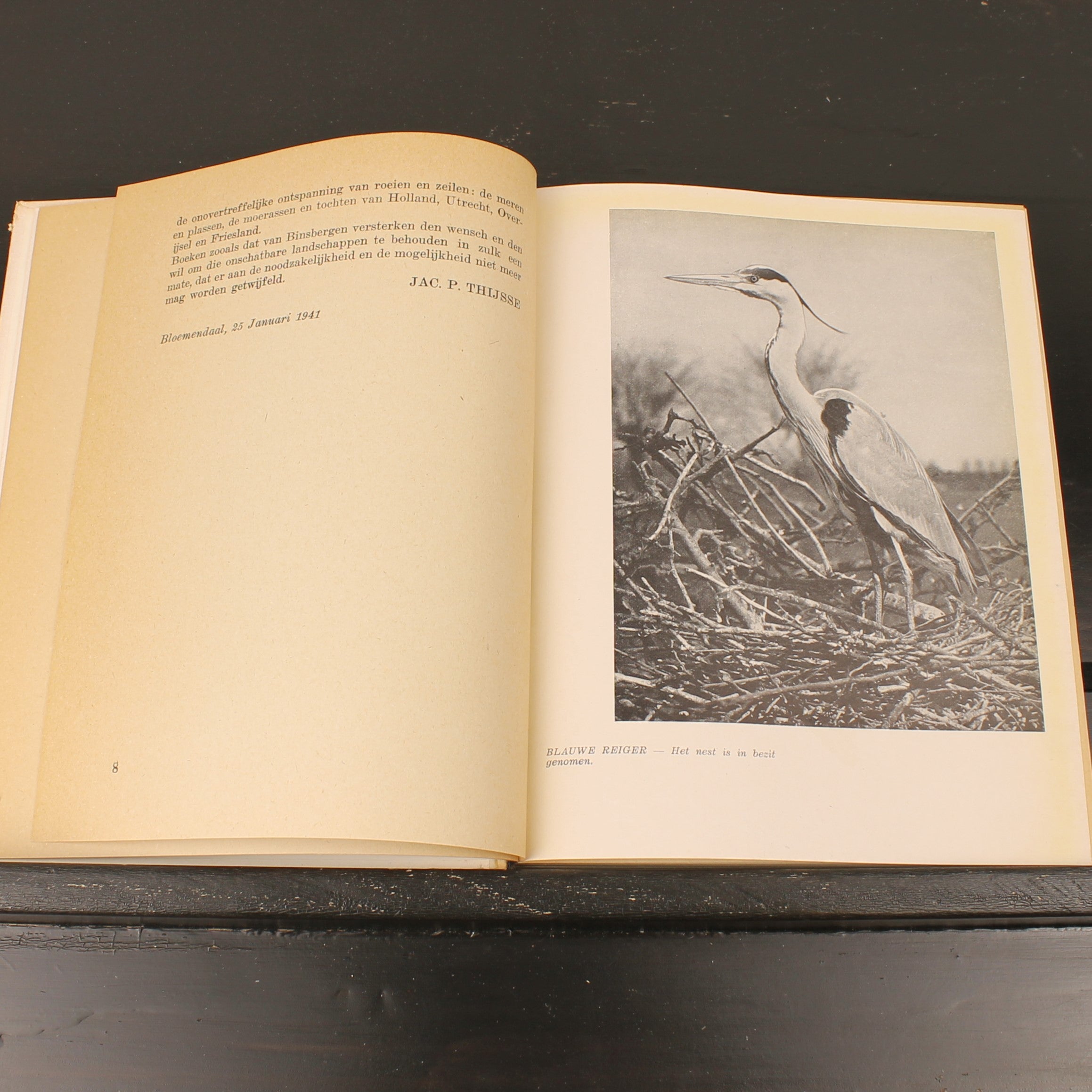 Uit Neerlands Vogelleven (1941) - Nol Binsbergen - Voorwoord Jac. P. Thijsse - Uitgeverij Boot Den Haag
