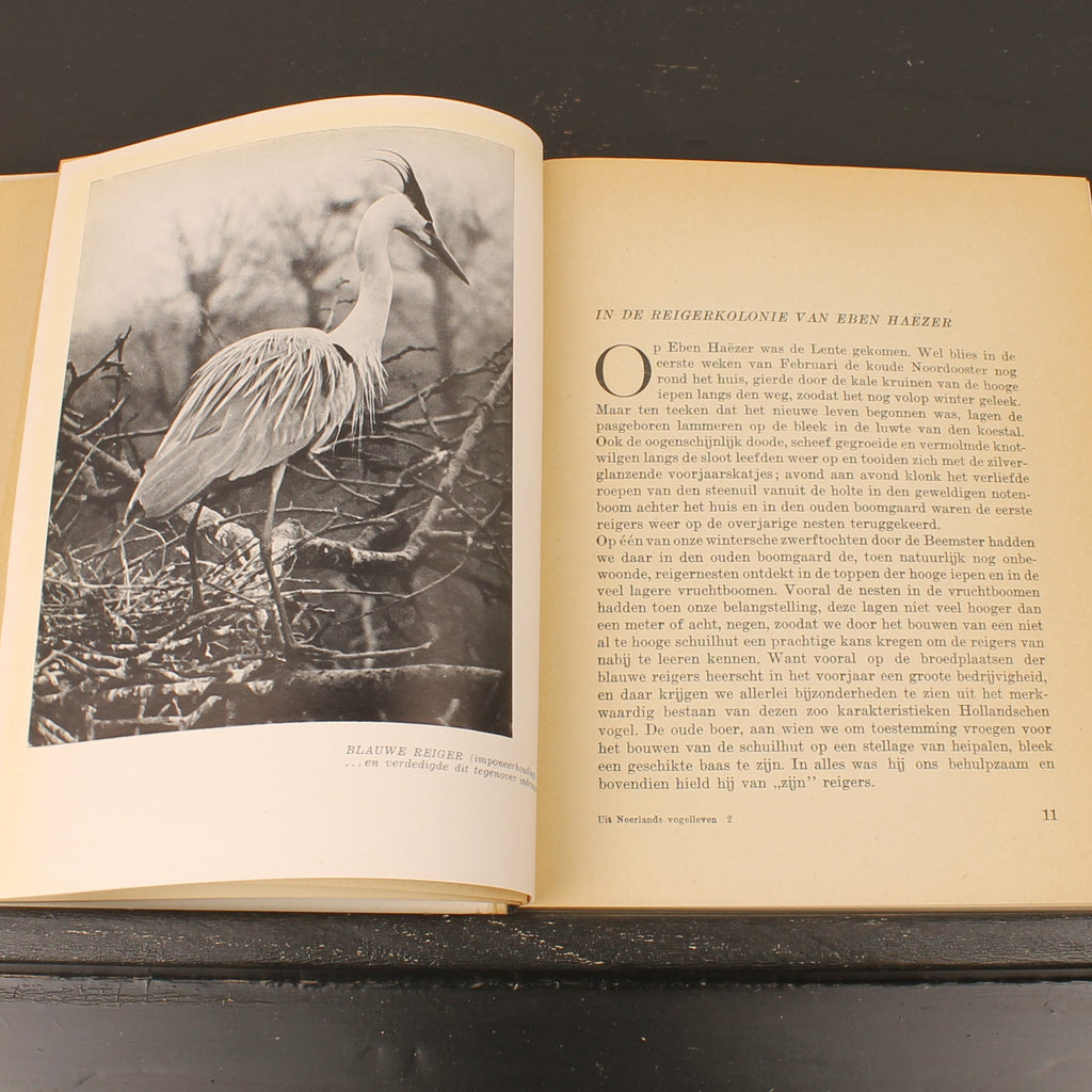 Uit Neerlands Vogelleven (1941) - Nol Binsbergen - Voorwoord Jac. P. Thijsse - Uitgeverij Boot Den Haag