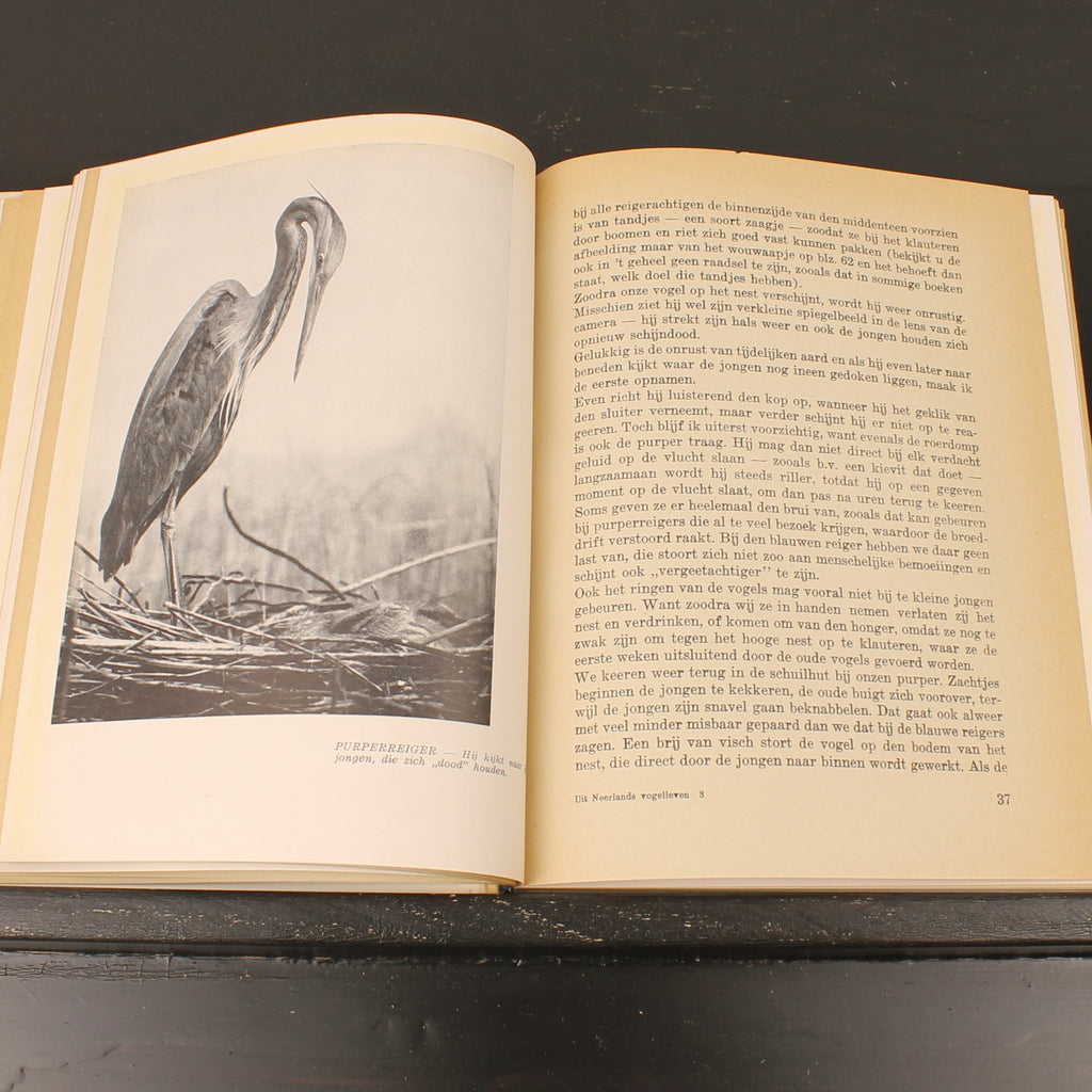 Uit Neerlands Vogelleven (1941) - Nol Binsbergen - Voorwoord Jac. P. Thijsse - Uitgeverij Boot Den Haag