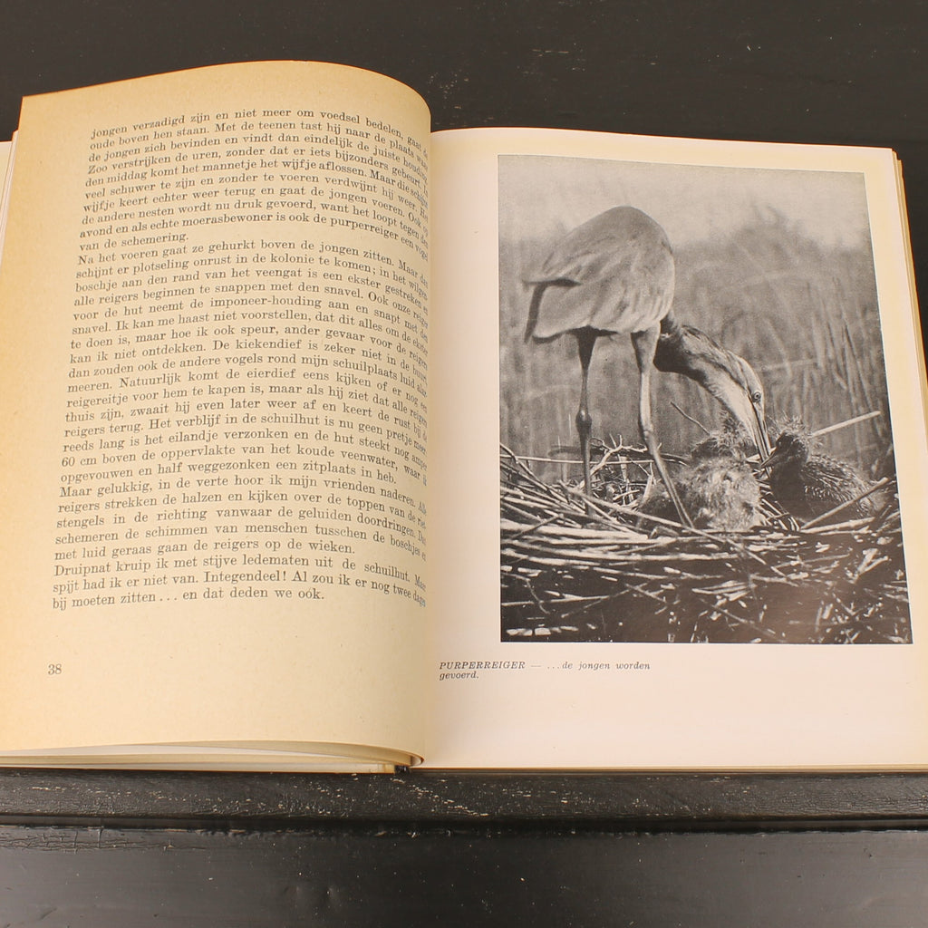 Uit Neerlands Vogelleven (1941) - Nol Binsbergen - Voorwoord Jac. P. Thijsse - Uitgeverij Boot Den Haag