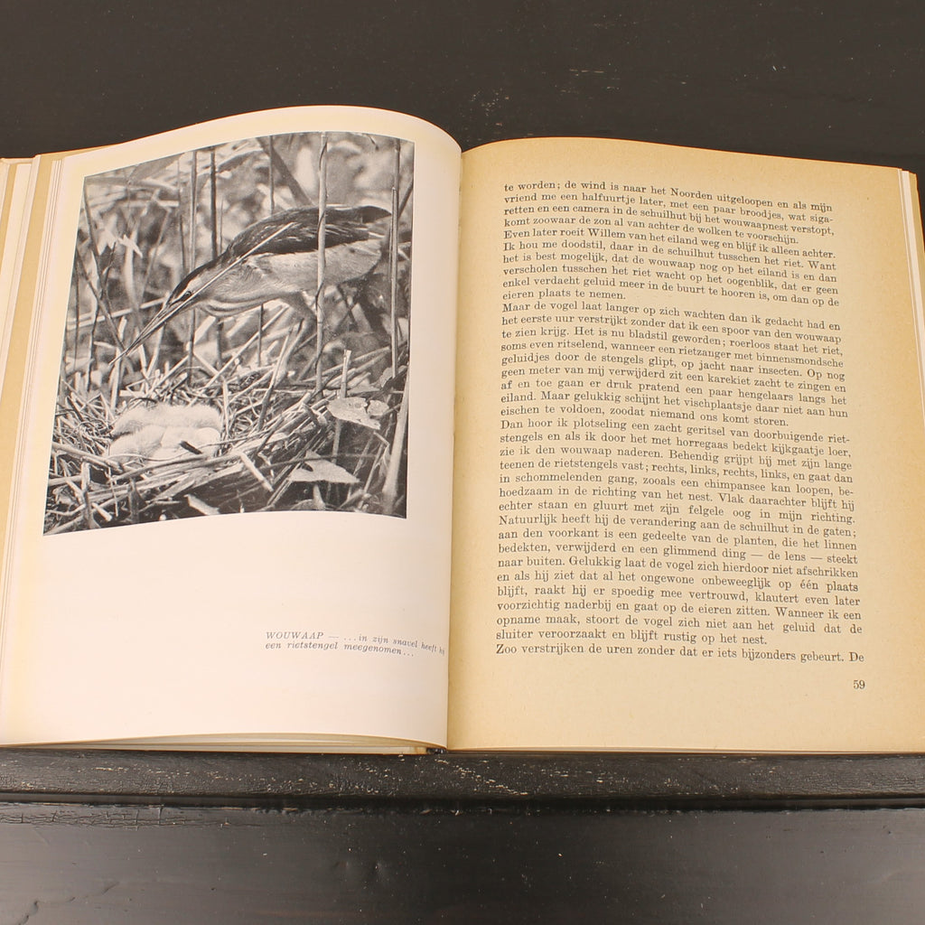 Uit Neerlands Vogelleven (1941) - Nol Binsbergen - Voorwoord Jac. P. Thijsse - Uitgeverij Boot Den Haag