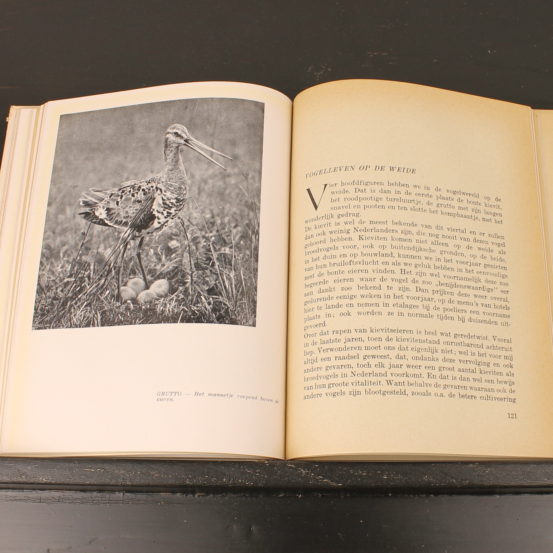 Uit Neerlands Vogelleven (1941) - Nol Binsbergen - Voorwoord Jac. P. Thijsse - Uitgeverij Boot Den Haag