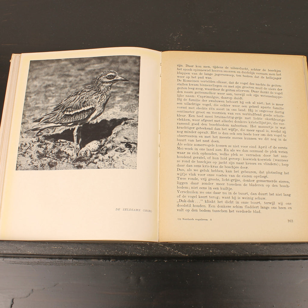 Uit Neerlands Vogelleven (1941) - Nol Binsbergen - Voorwoord Jac. P. Thijsse - Uitgeverij Boot Den Haag