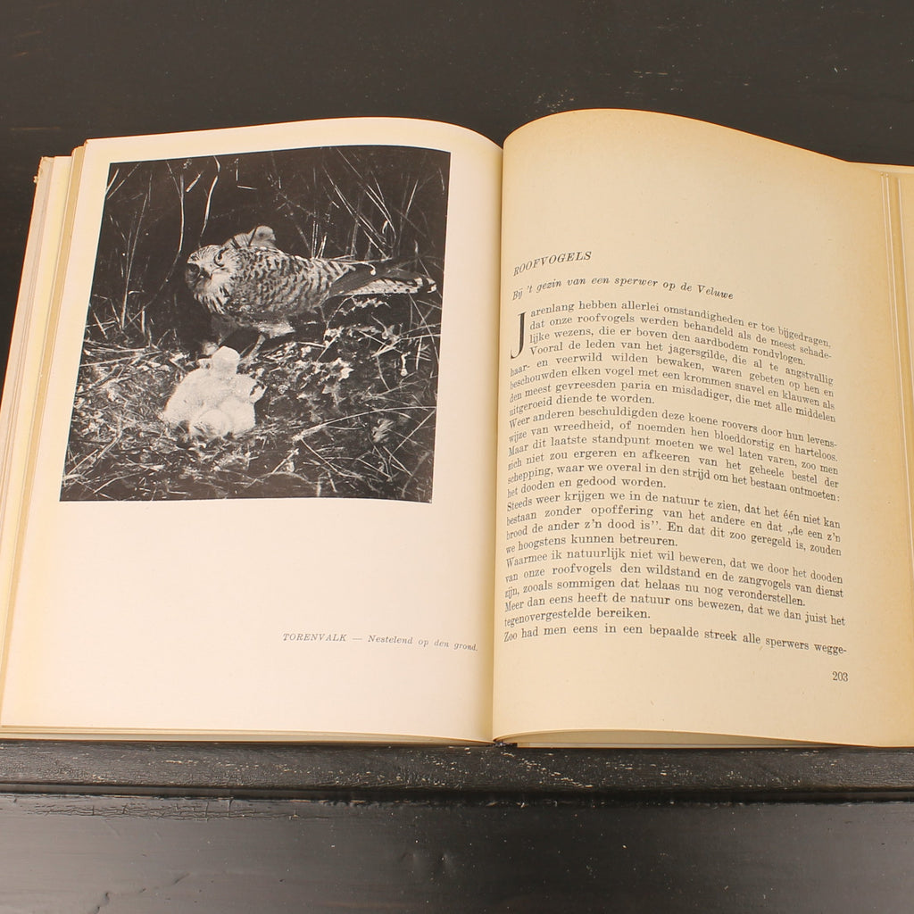 Uit Neerlands Vogelleven (1941) - Nol Binsbergen - Voorwoord Jac. P. Thijsse - Uitgeverij Boot Den Haag