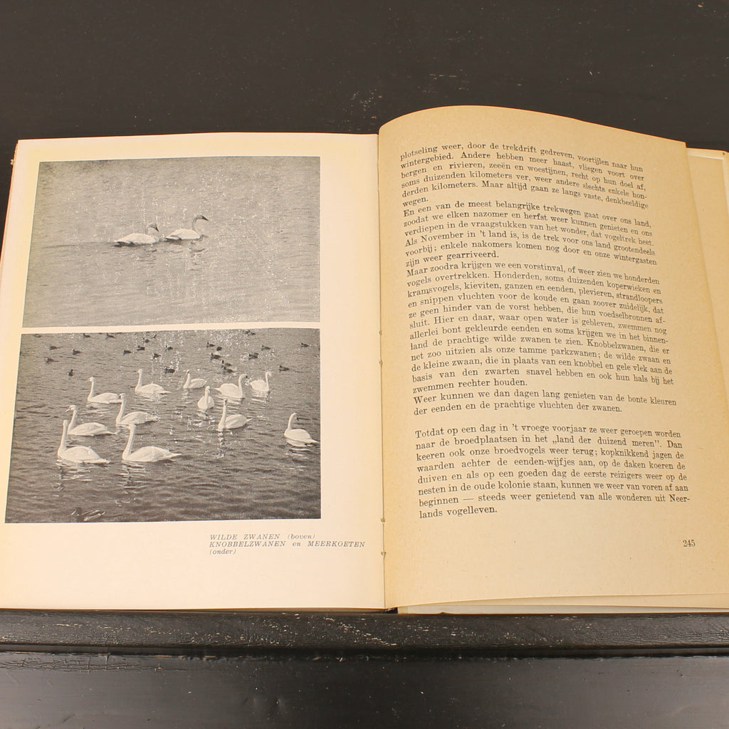 Uit Neerlands Vogelleven (1941) - Nol Binsbergen - Voorwoord Jac. P. Thijsse - Uitgeverij Boot Den Haag