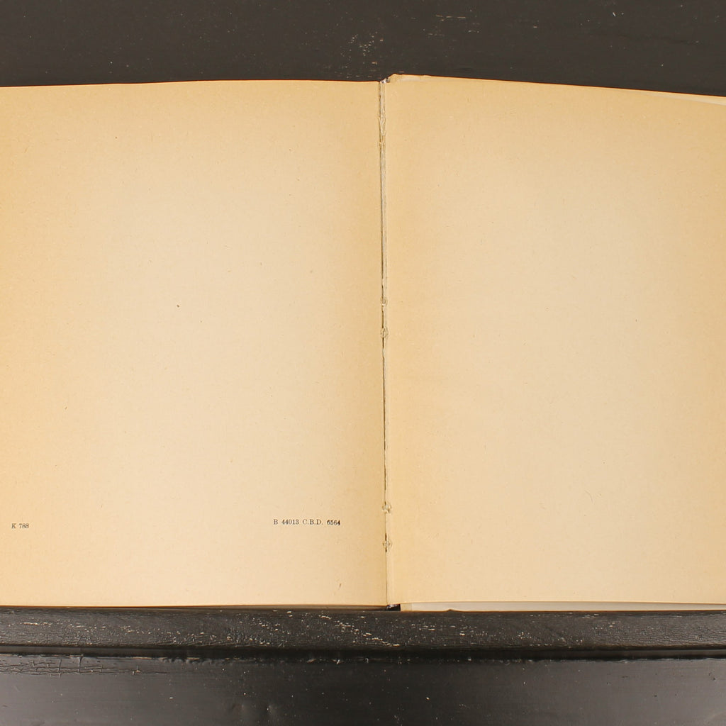 Uit Neerlands Vogelleven (1941) - Nol Binsbergen - Voorwoord Jac. P. Thijsse - Uitgeverij Boot Den Haag