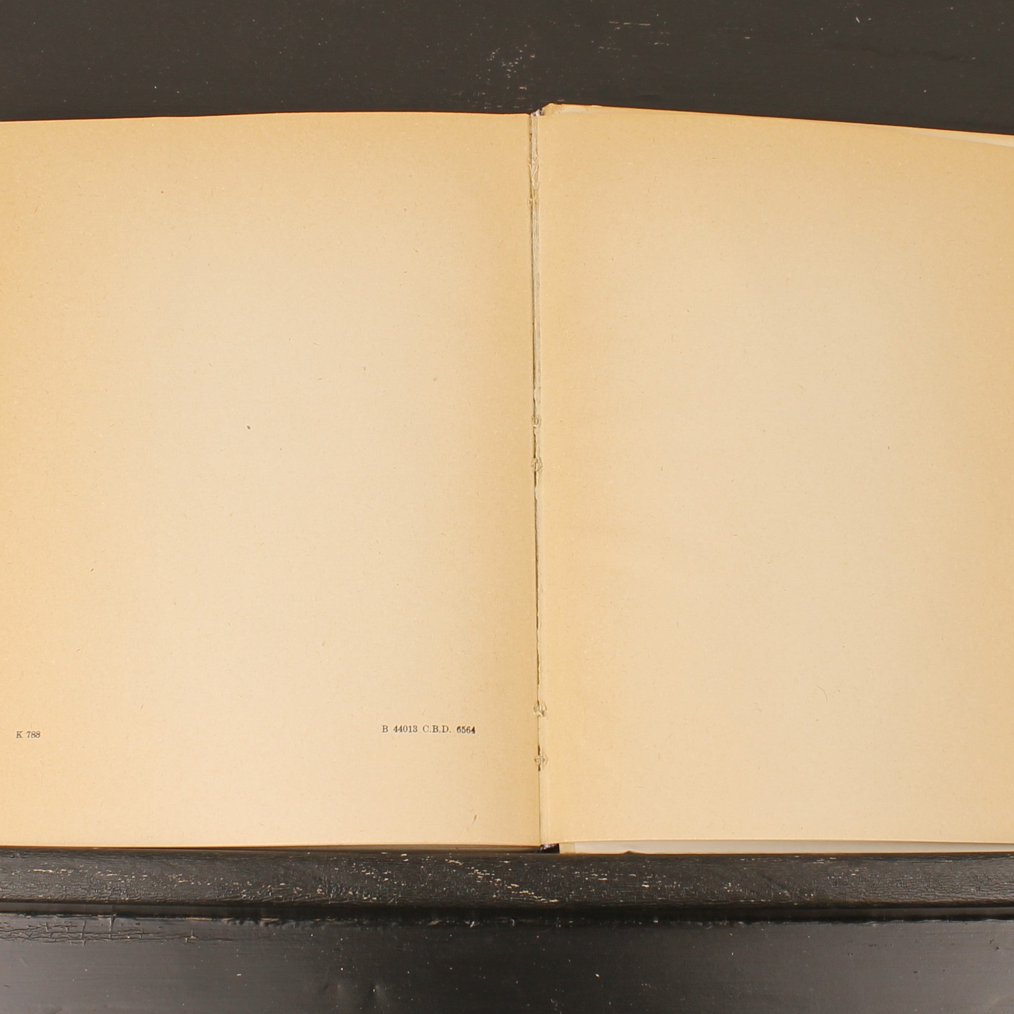 Uit Neerlands Vogelleven (1941) - Nol Binsbergen - Voorwoord Jac. P. Thijsse - Uitgeverij Boot Den Haag