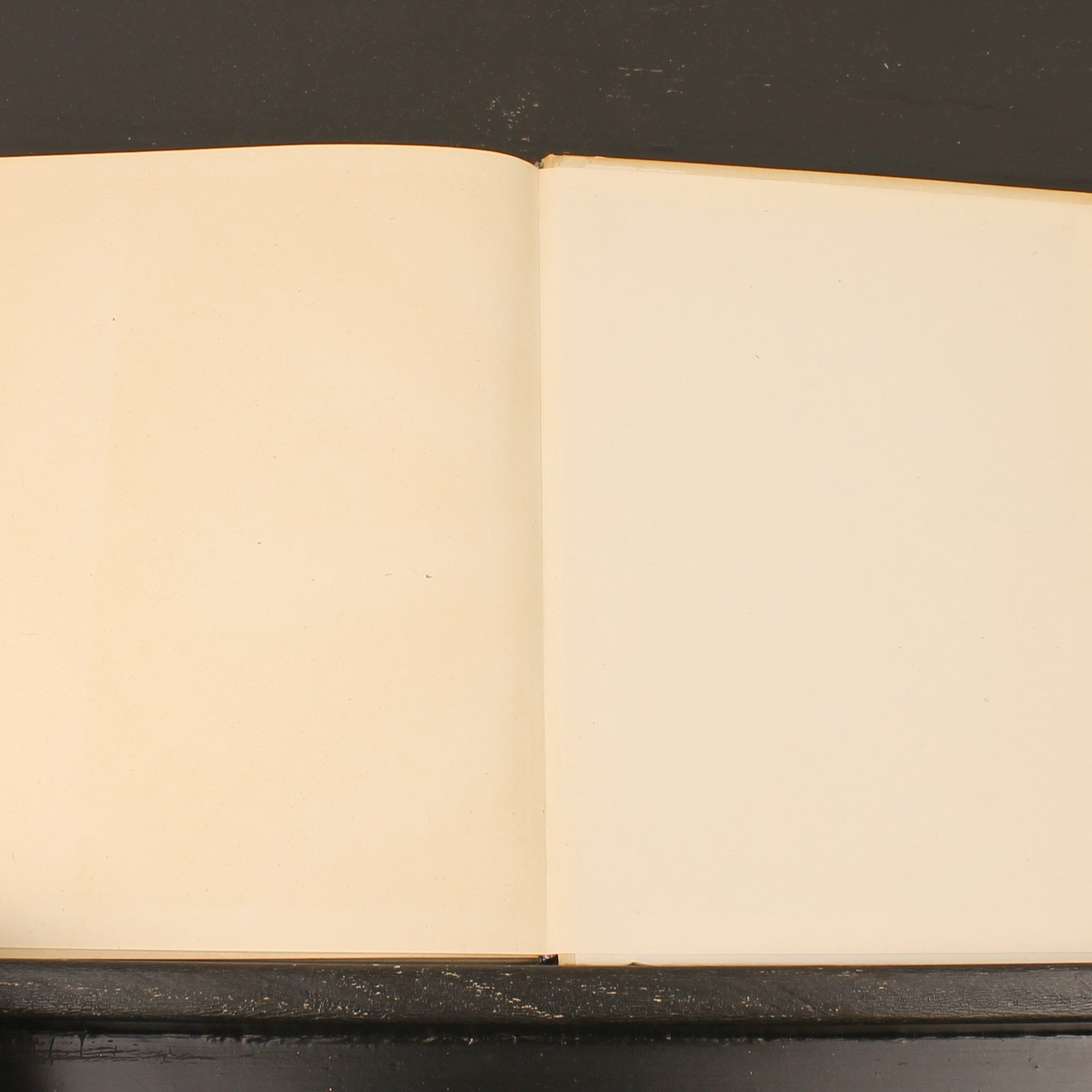 Uit Neerlands Vogelleven (1941) - Nol Binsbergen - Voorwoord Jac. P. Thijsse - Uitgeverij Boot Den Haag