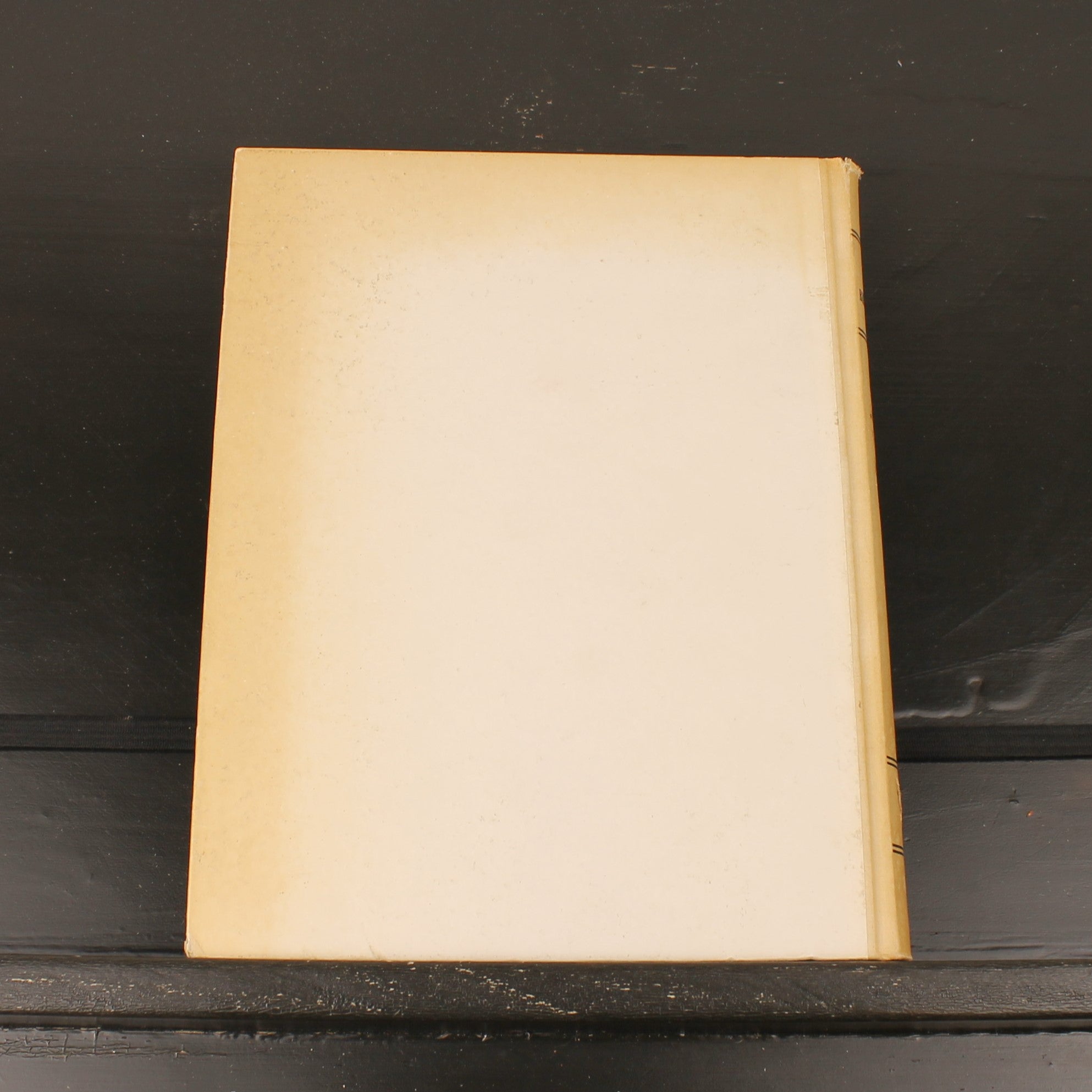 Uit Neerlands Vogelleven (1941) - Nol Binsbergen - Voorwoord Jac. P. Thijsse - Uitgeverij Boot Den Haag