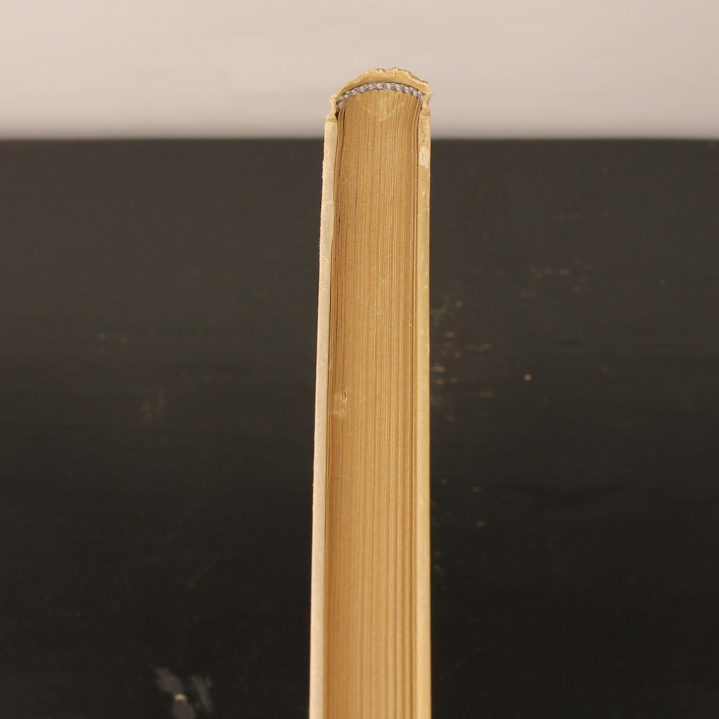 Uit Neerlands Vogelleven (1941) - Nol Binsbergen - Voorwoord Jac. P. Thijsse - Uitgeverij Boot Den Haag