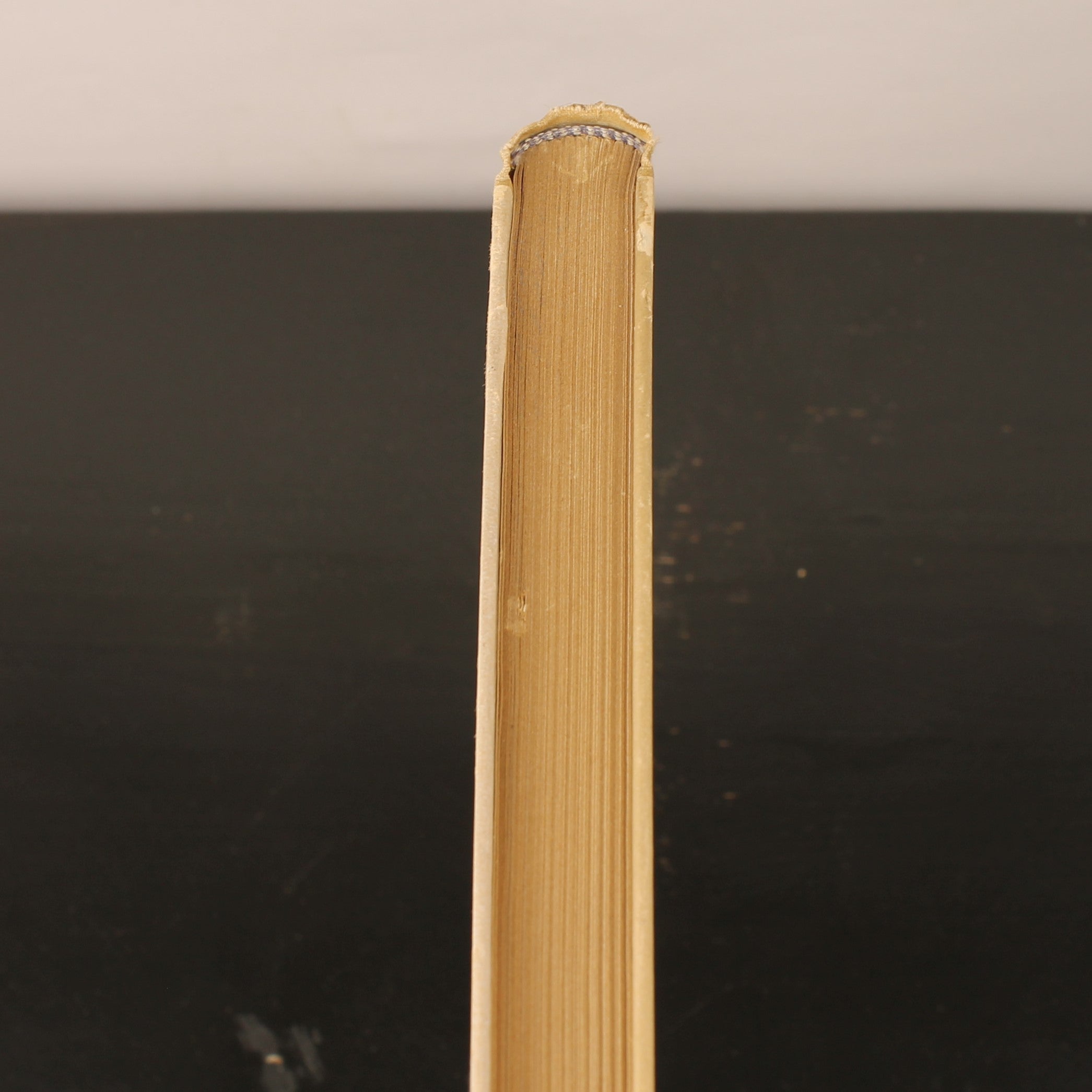 Uit Neerlands Vogelleven (1941) - Nol Binsbergen - Voorwoord Jac. P. Thijsse - Uitgeverij Boot Den Haag