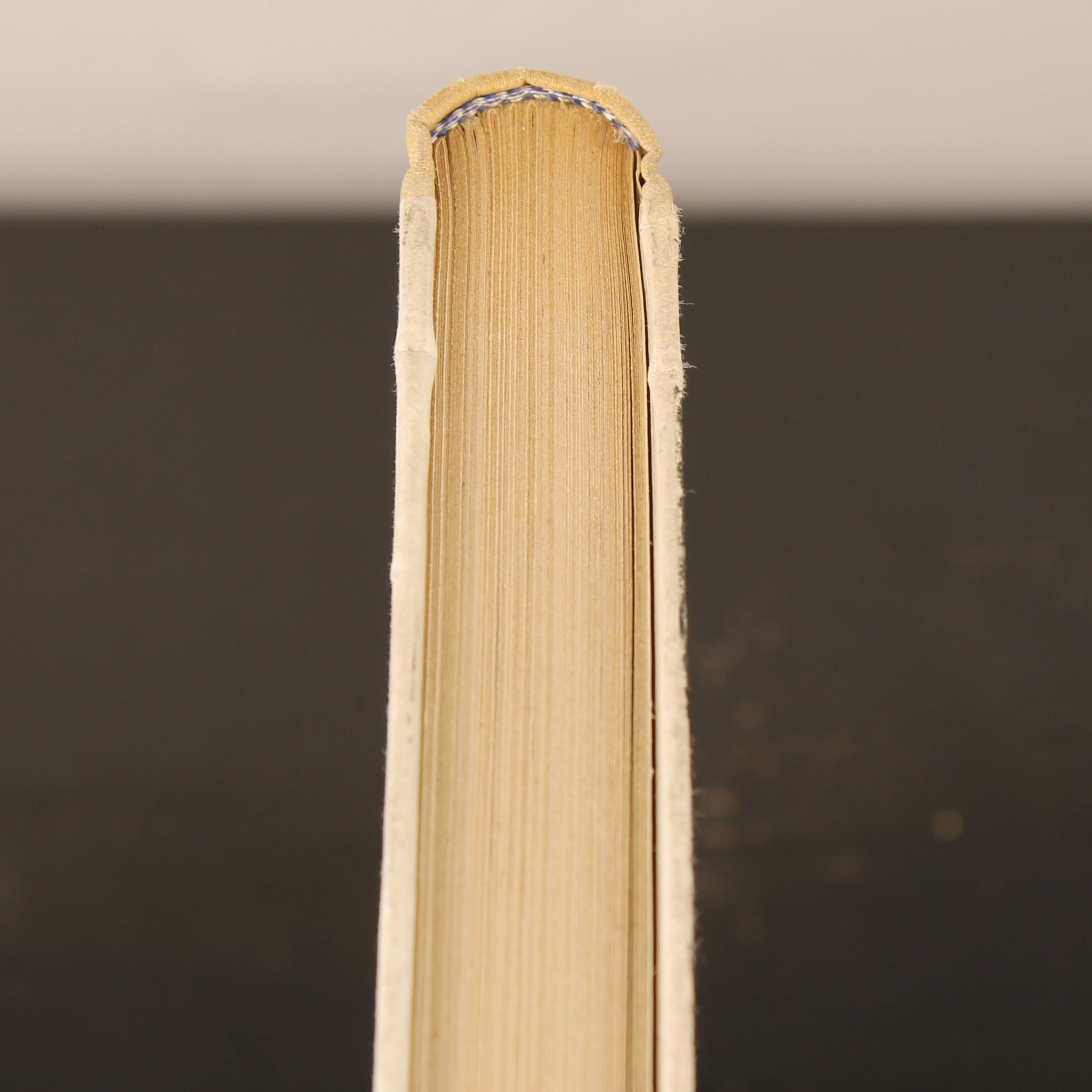 Uit Neerlands Vogelleven (1941) - Nol Binsbergen - Voorwoord Jac. P. Thijsse - Uitgeverij Boot Den Haag