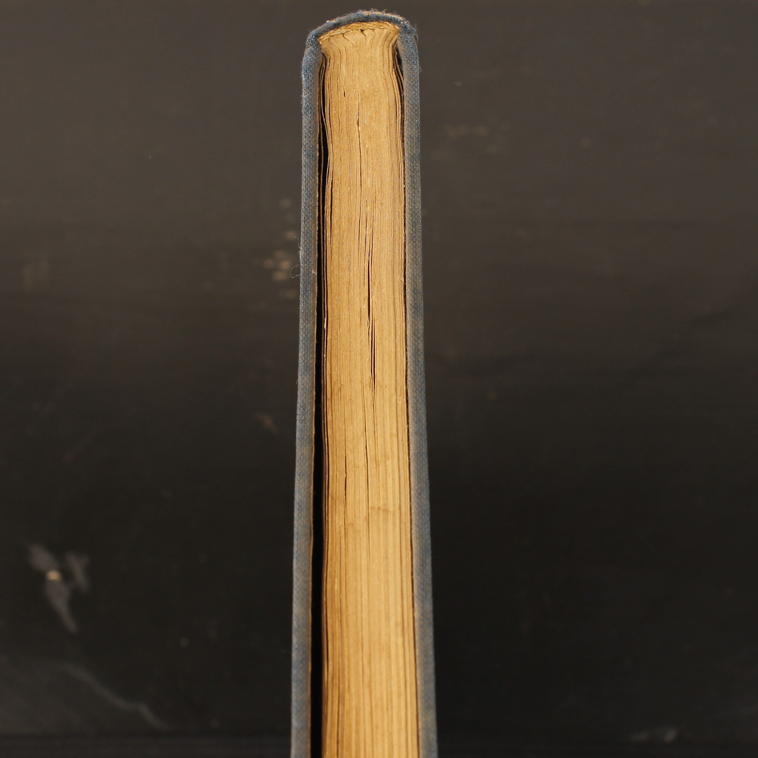 Isobel - James Oliver Curwood - Nijgh & Van Ditmar Rotterdam