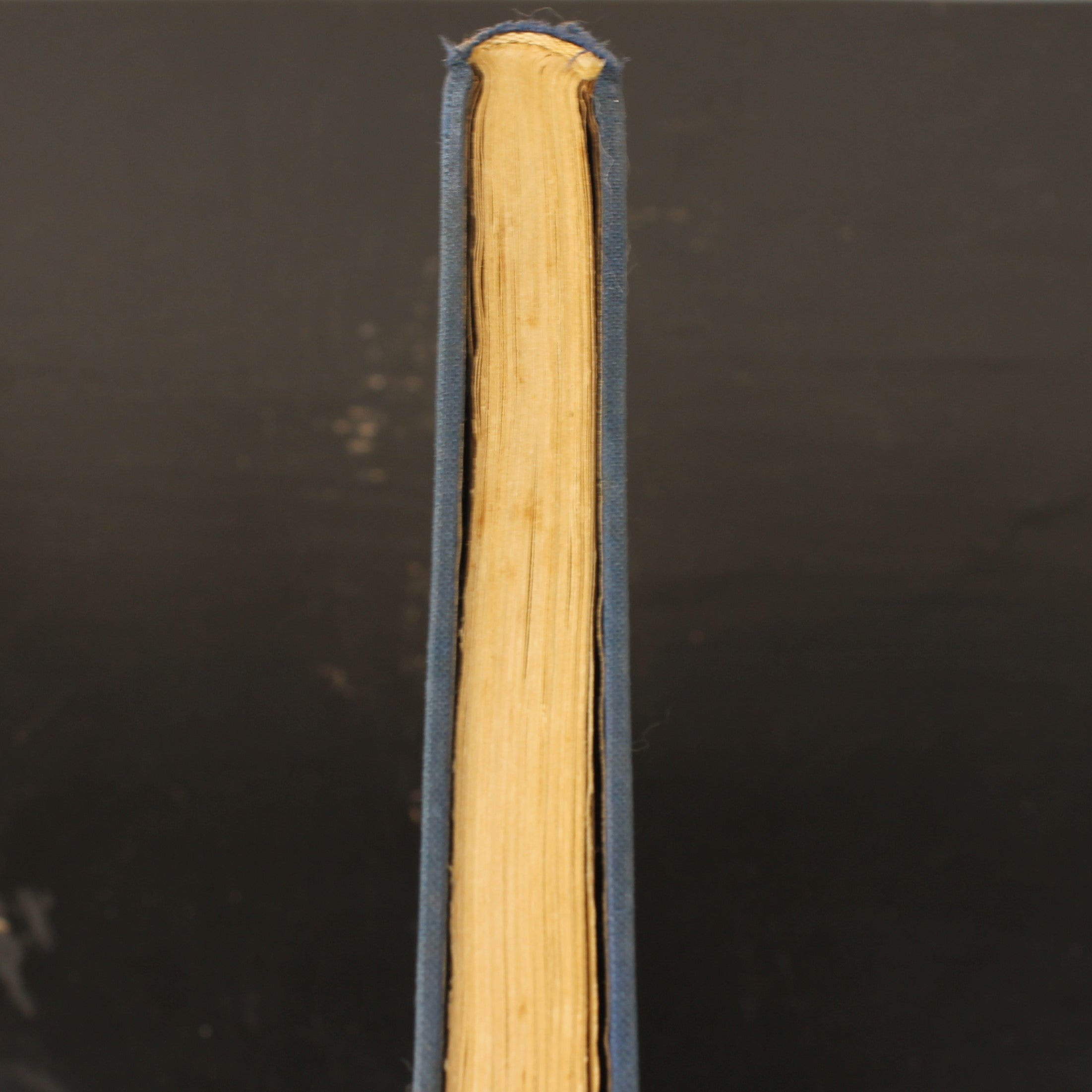 Isobel - James Oliver Curwood - Nijgh & Van Ditmar Rotterdam