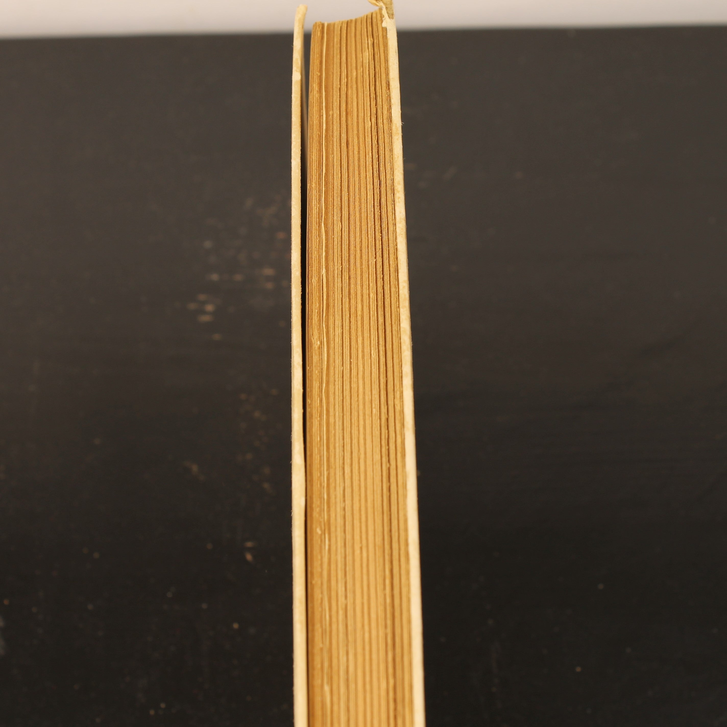 Tussen Dijken en Sloten (1942) - S. Franke - Geïllustreerde Oorlogsuitgave - De Arbeiderspers Amsterdam