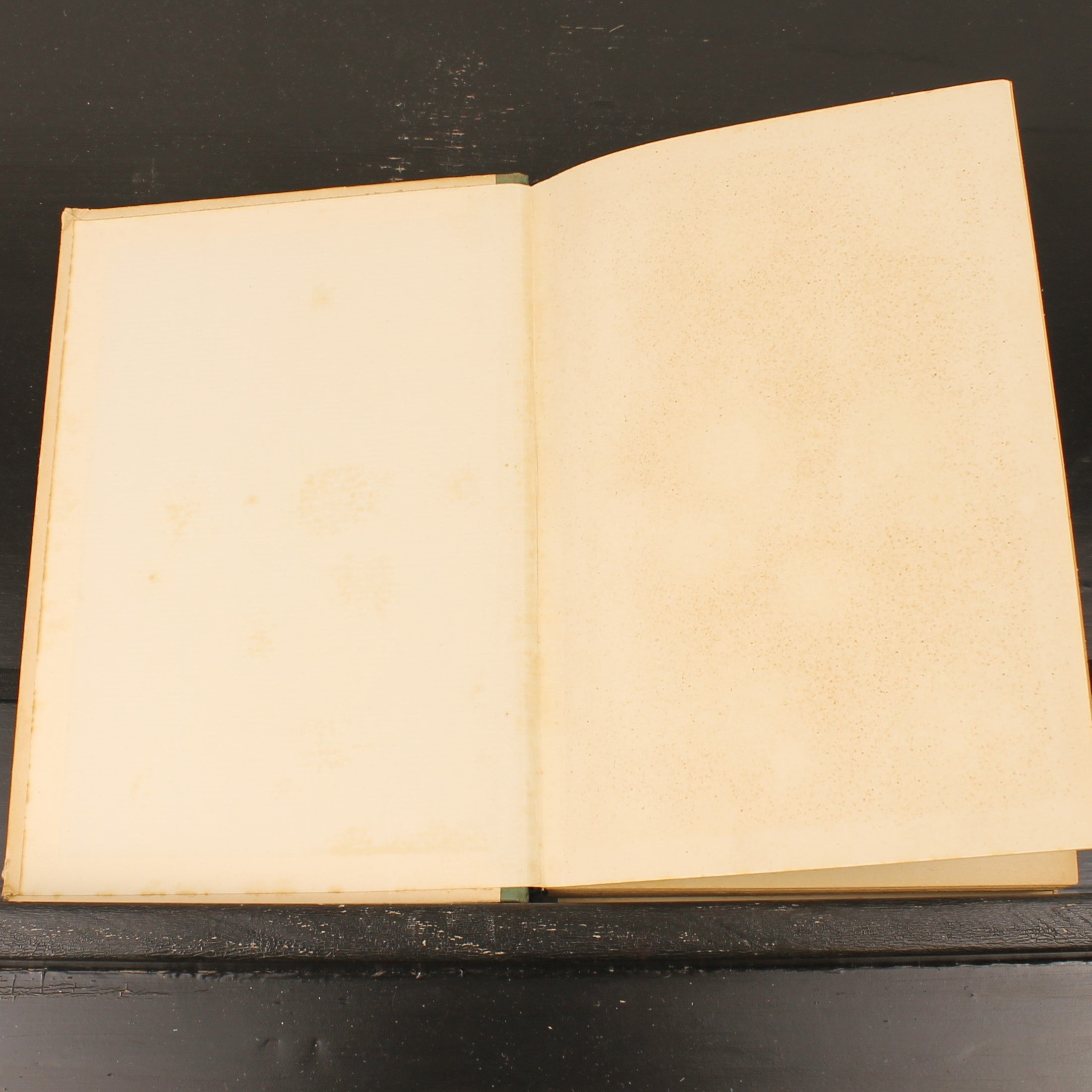 Tussen Dijken en Sloten (1942) - S. Franke - Geïllustreerde Oorlogsuitgave - De Arbeiderspers Amsterdam