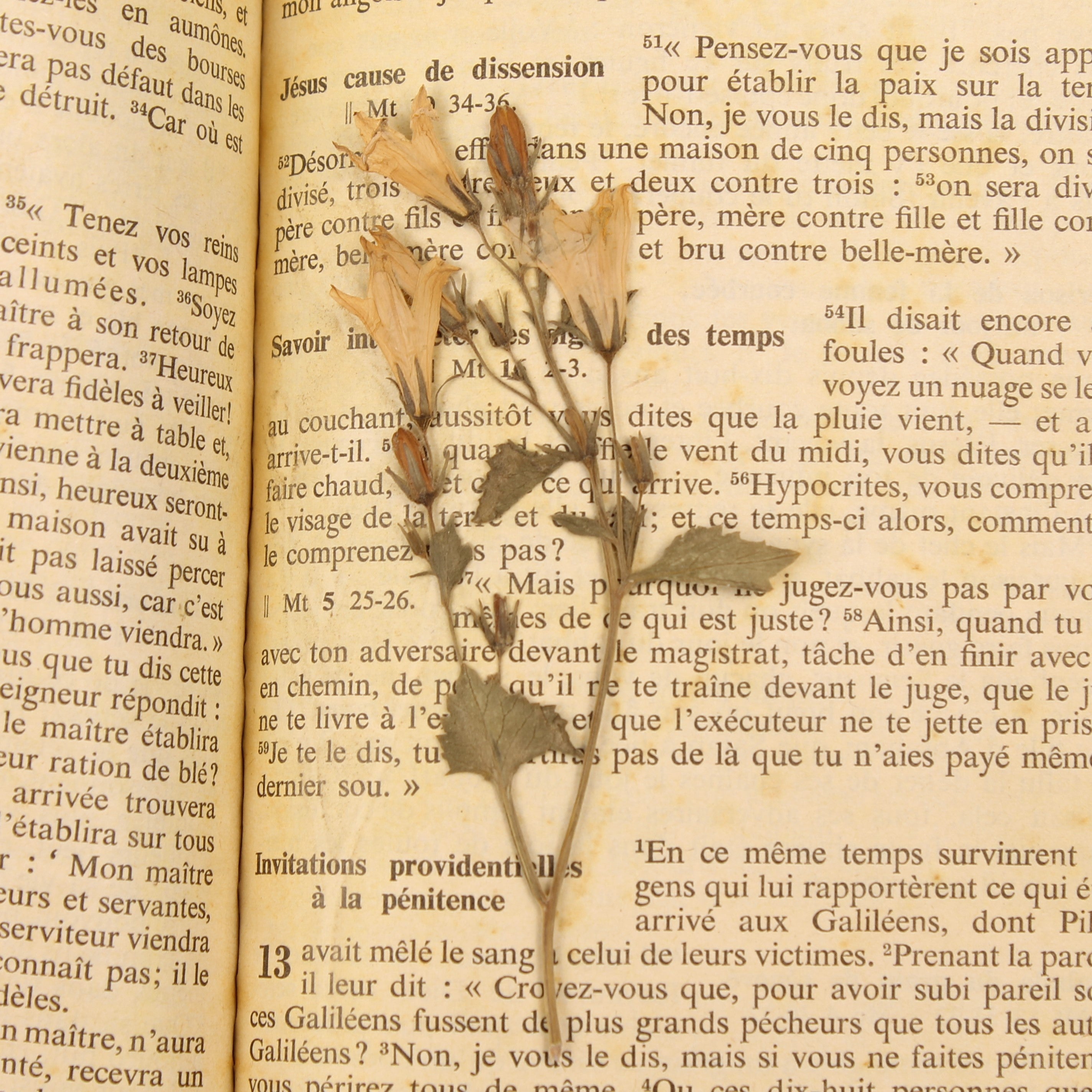 Le Nouveau Testament 1966 Bible de Jérusalem – Vintage Franse Bijbel