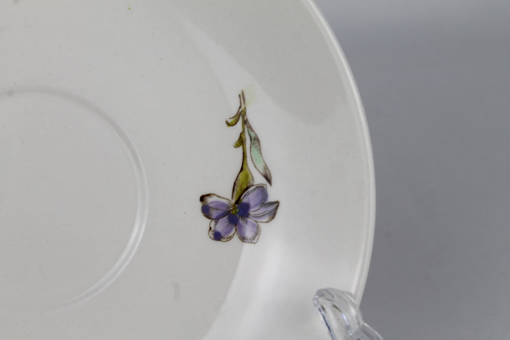 Villeroy & Boch “Bouquet” Schoteltjes (Set van 2) – Saar, ca. 1950–1960