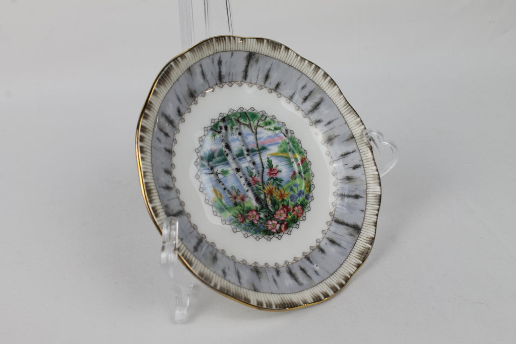 Royal Albert “Silver Birch” – Bone China Schoteltje