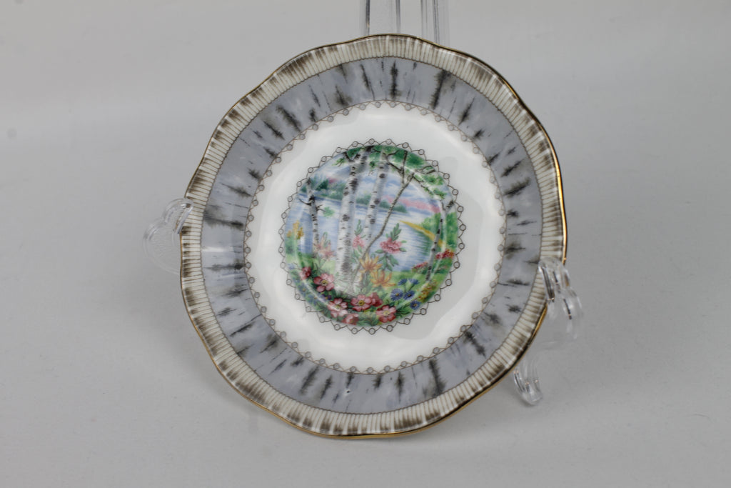 Royal Albert “Silver Birch” – Bone China Schoteltje