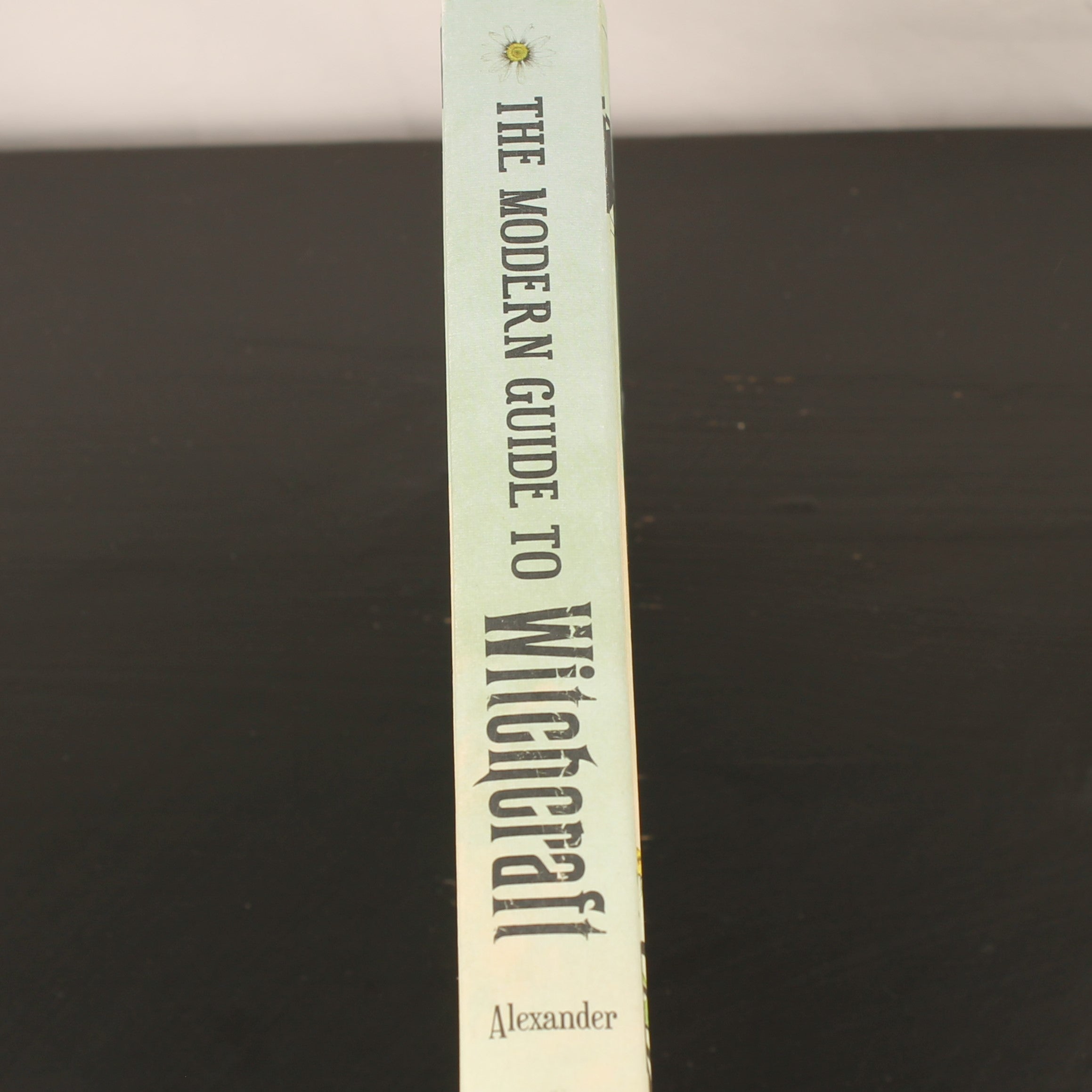 The Modern Guide to Witchcraft | Skye Alexander | Hardcover | Adams Media | 2014